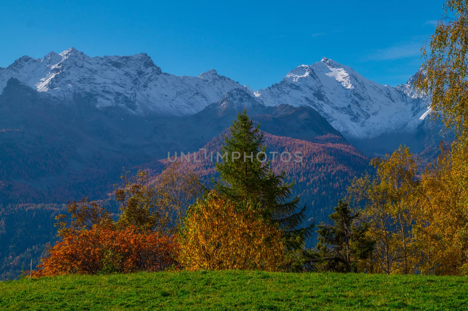 landscape of Italian Alps in autumn by bertrand