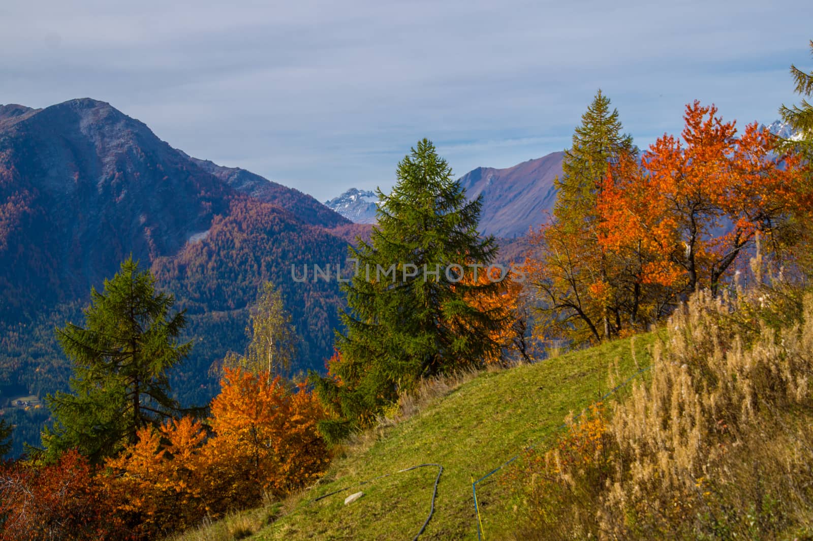 landscape of Italian Alps in autumn by bertrand