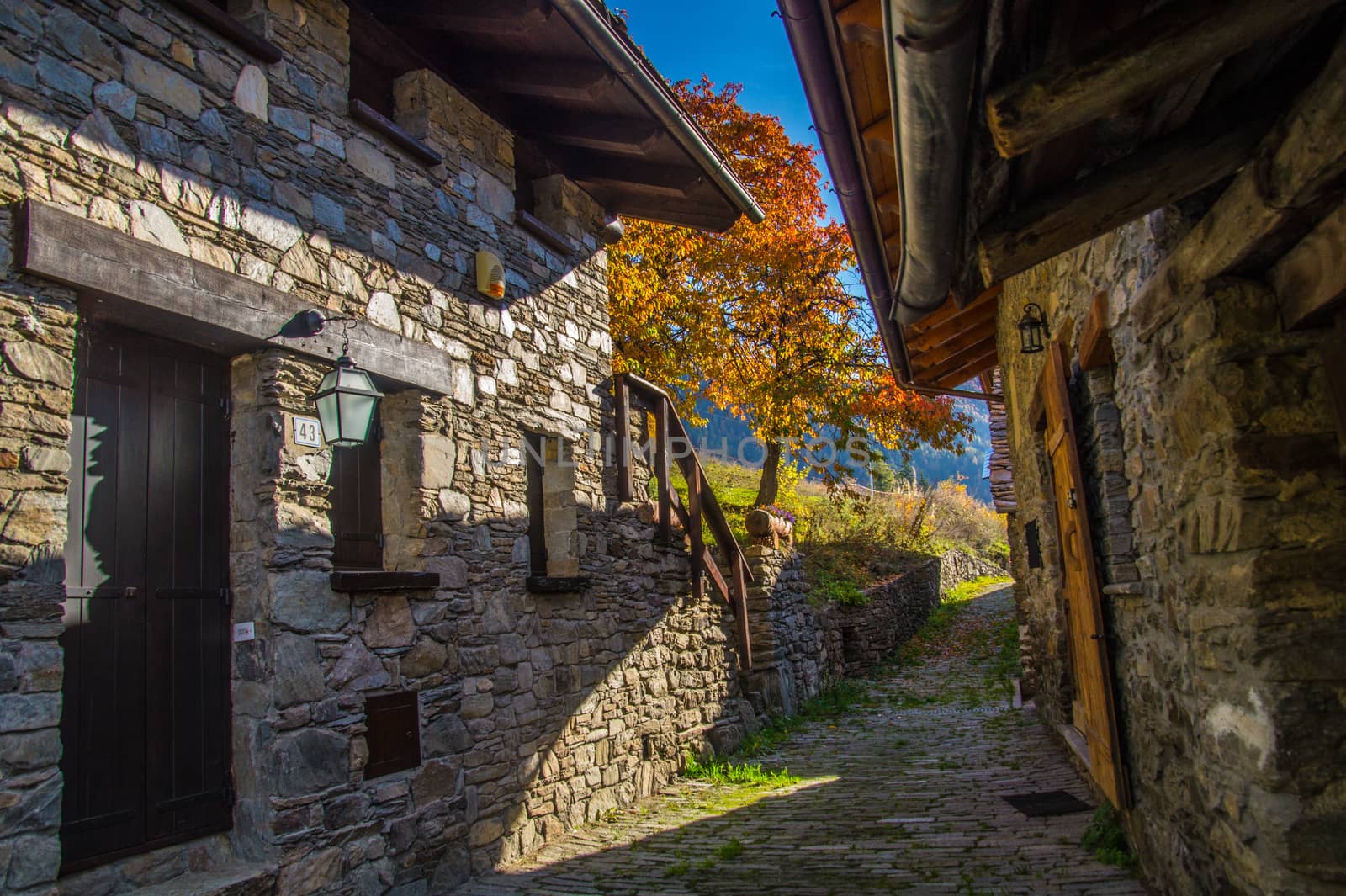 landscape of Italian Alps in autumn by bertrand