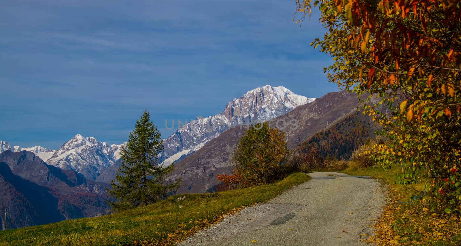 landscape of Italian Alps in autumn by bertrand