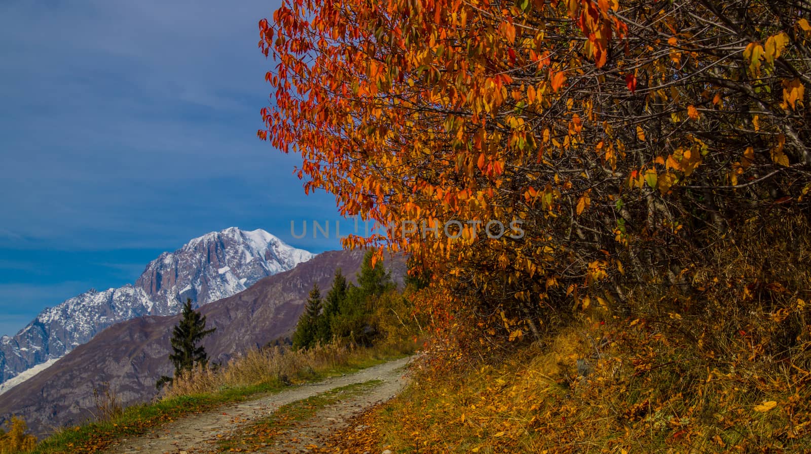 landscape of Italian Alps in autumn by bertrand