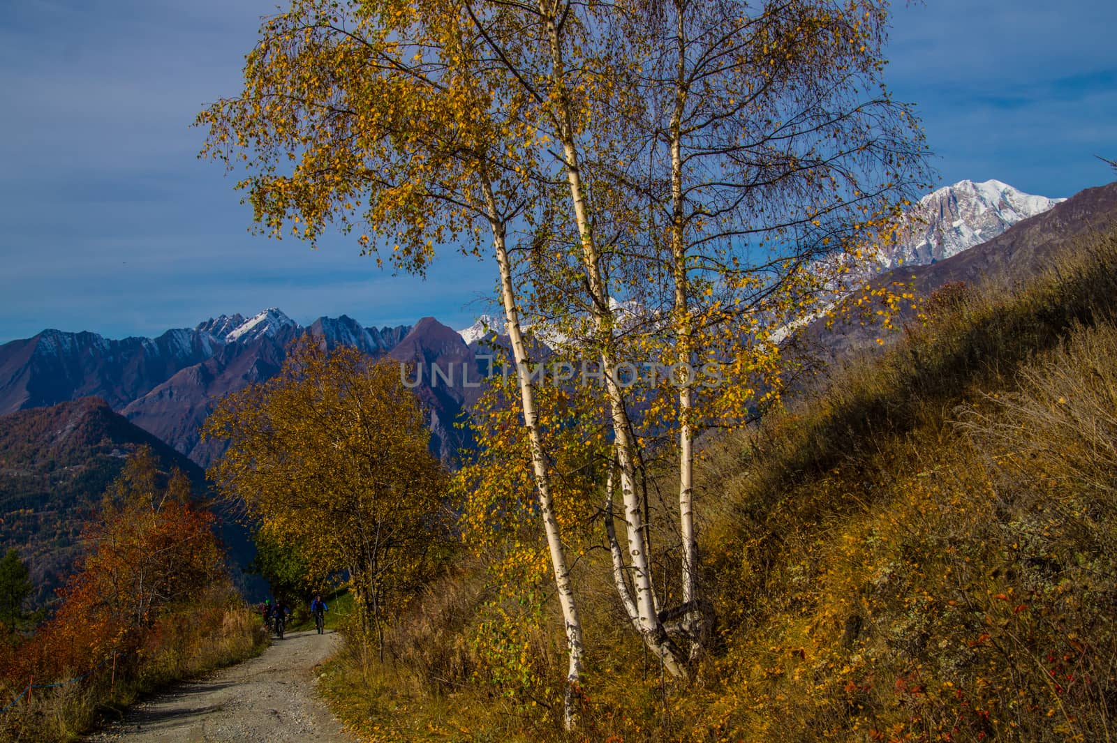 landscape of Italian Alps in autumn by bertrand