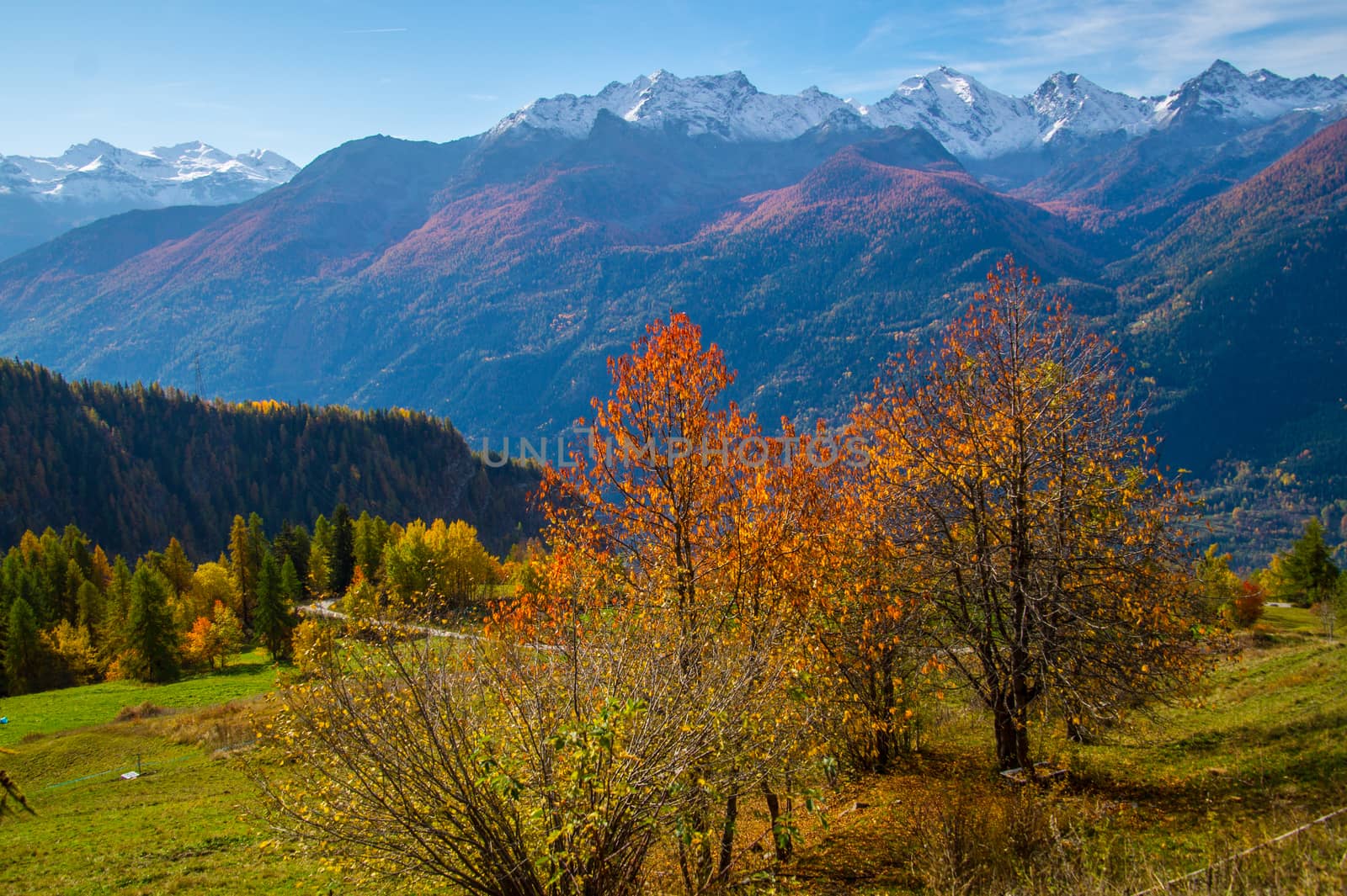 landscape of Italian Alps in autumn by bertrand