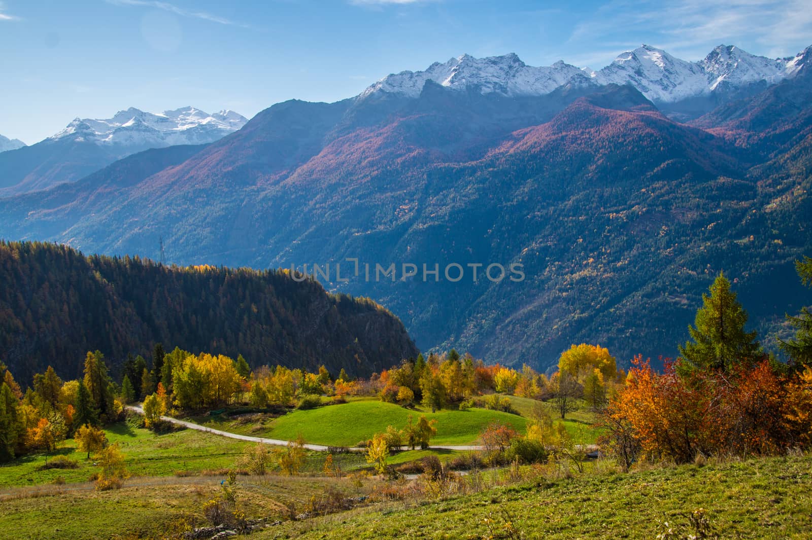 landscape of Italian Alps in autumn by bertrand