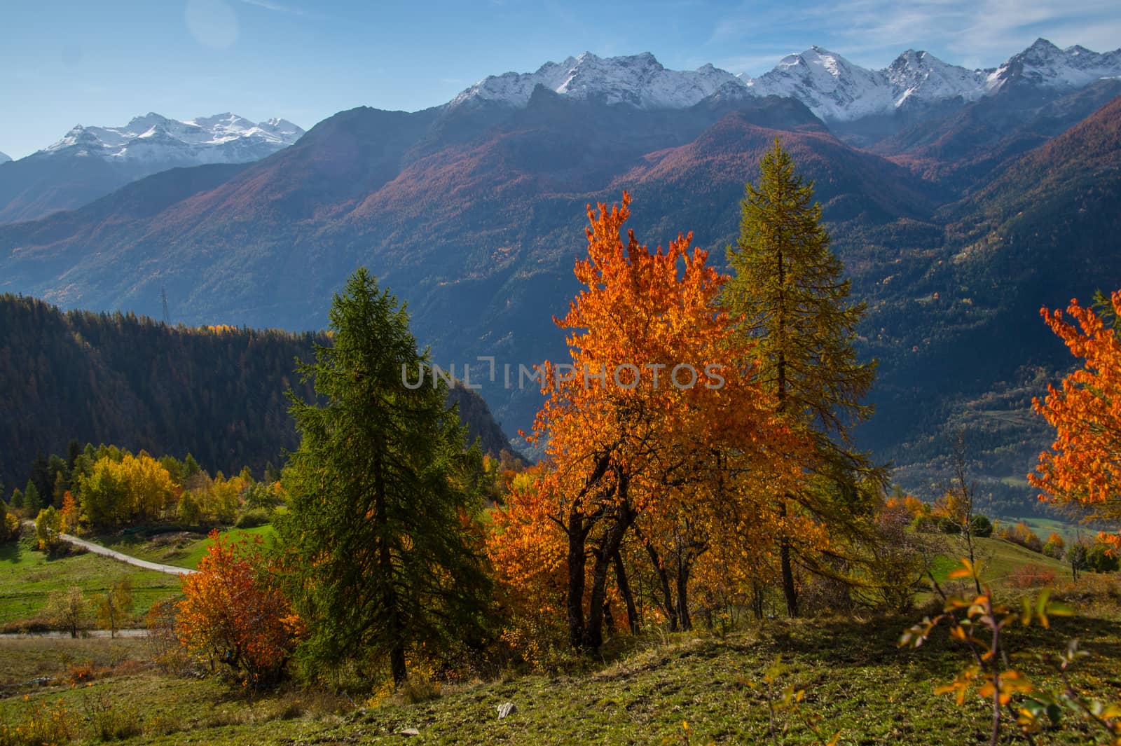 landscape of Italian Alps in autumn by bertrand