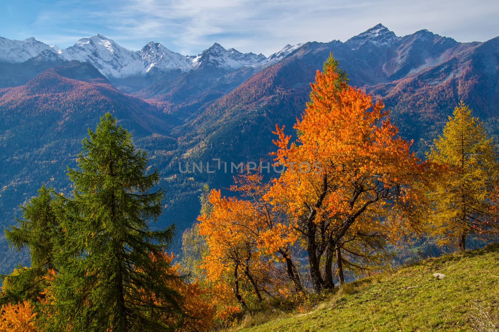 landscape of Italian Alps in autumn by bertrand