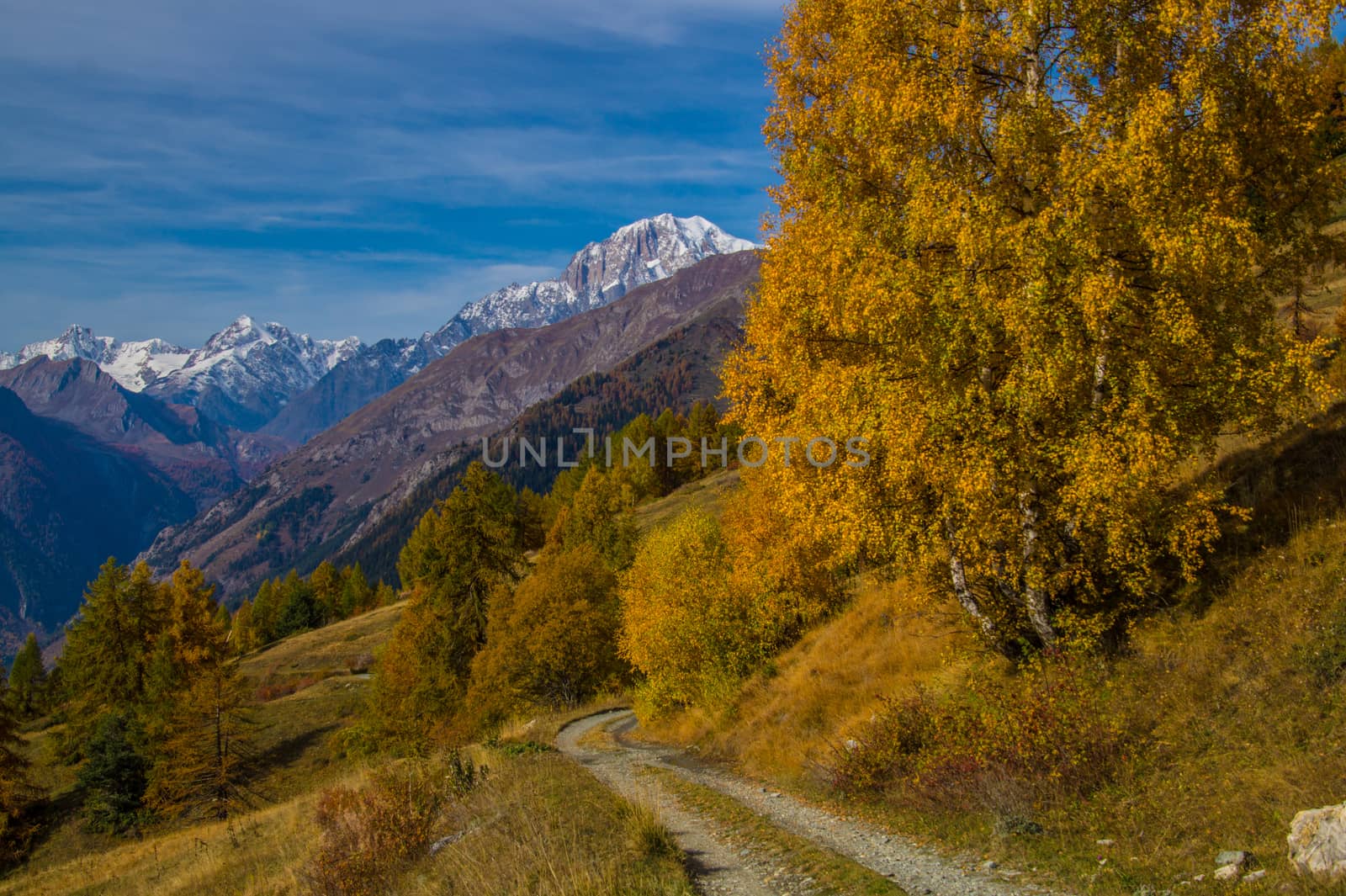 landscape of Italian Alps in autumn by bertrand