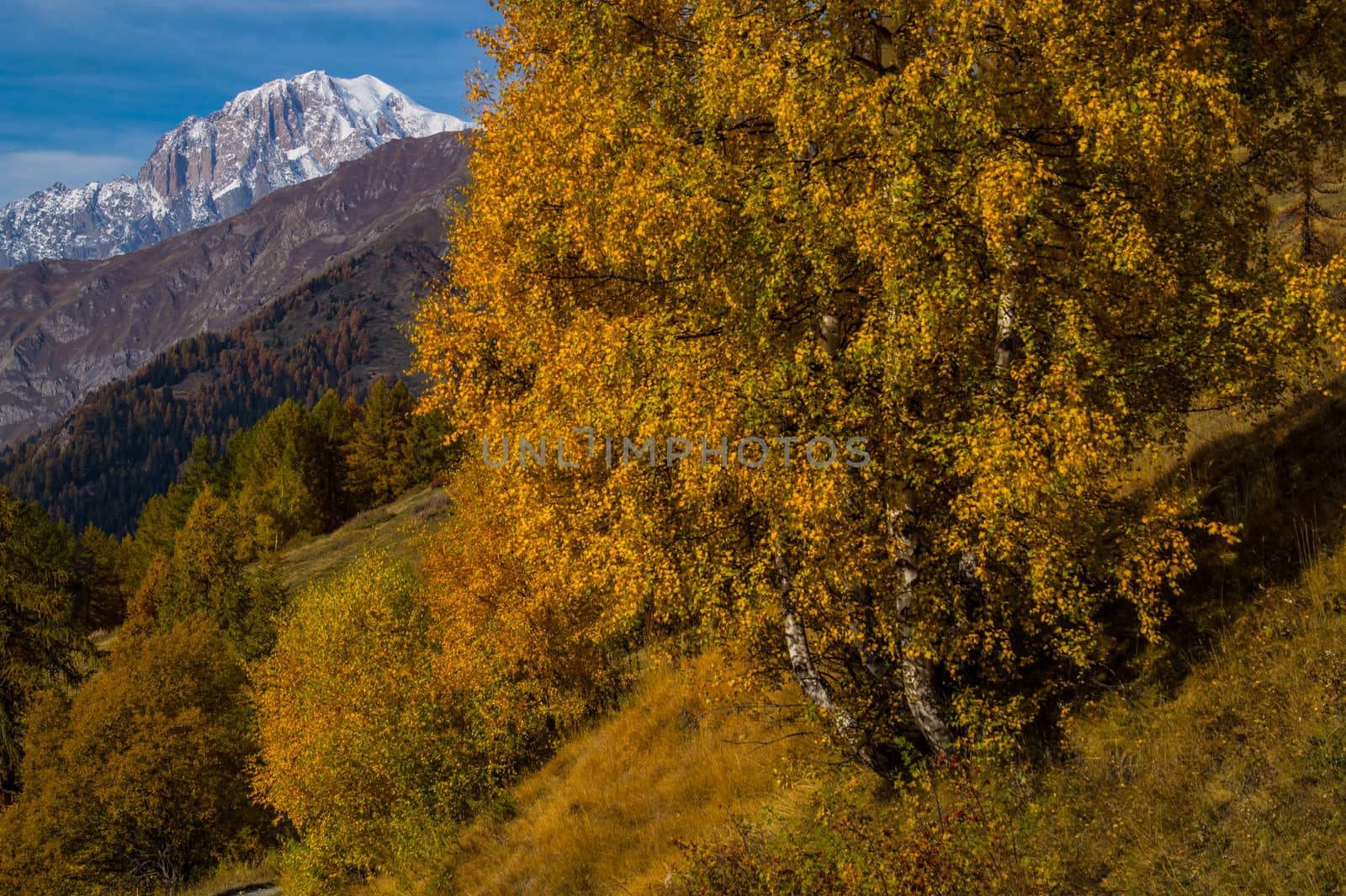 landscape of Italian Alps in autumn by bertrand