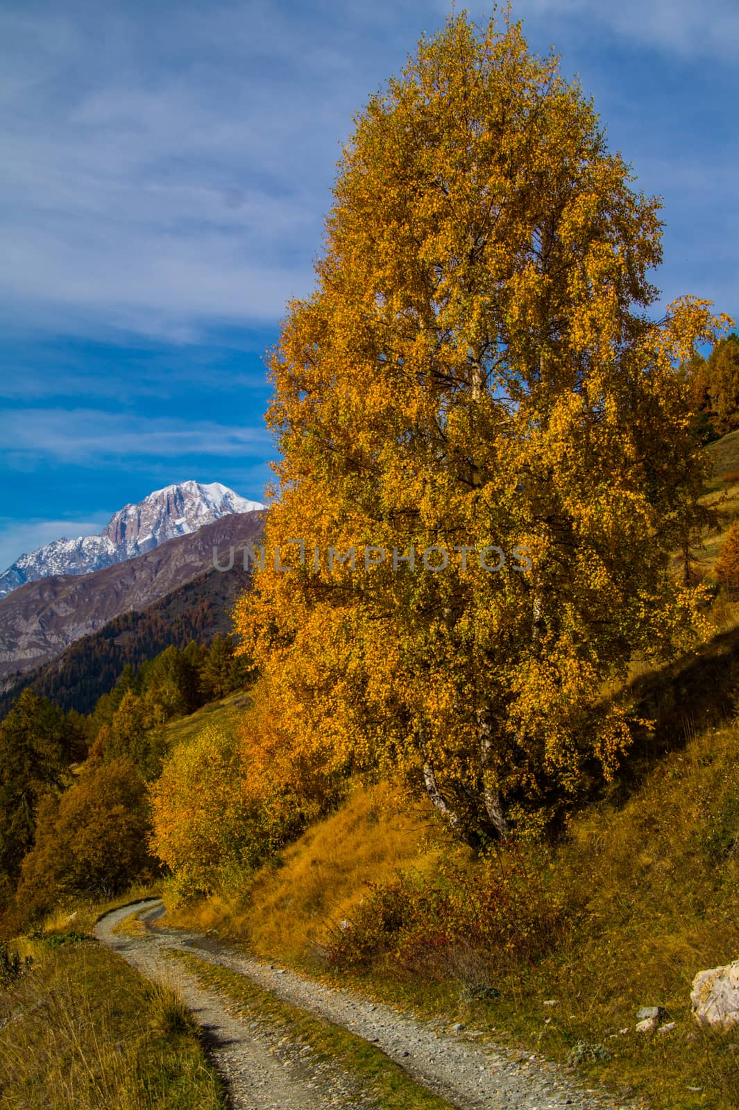 landscape of Italian Alps in autumn by bertrand