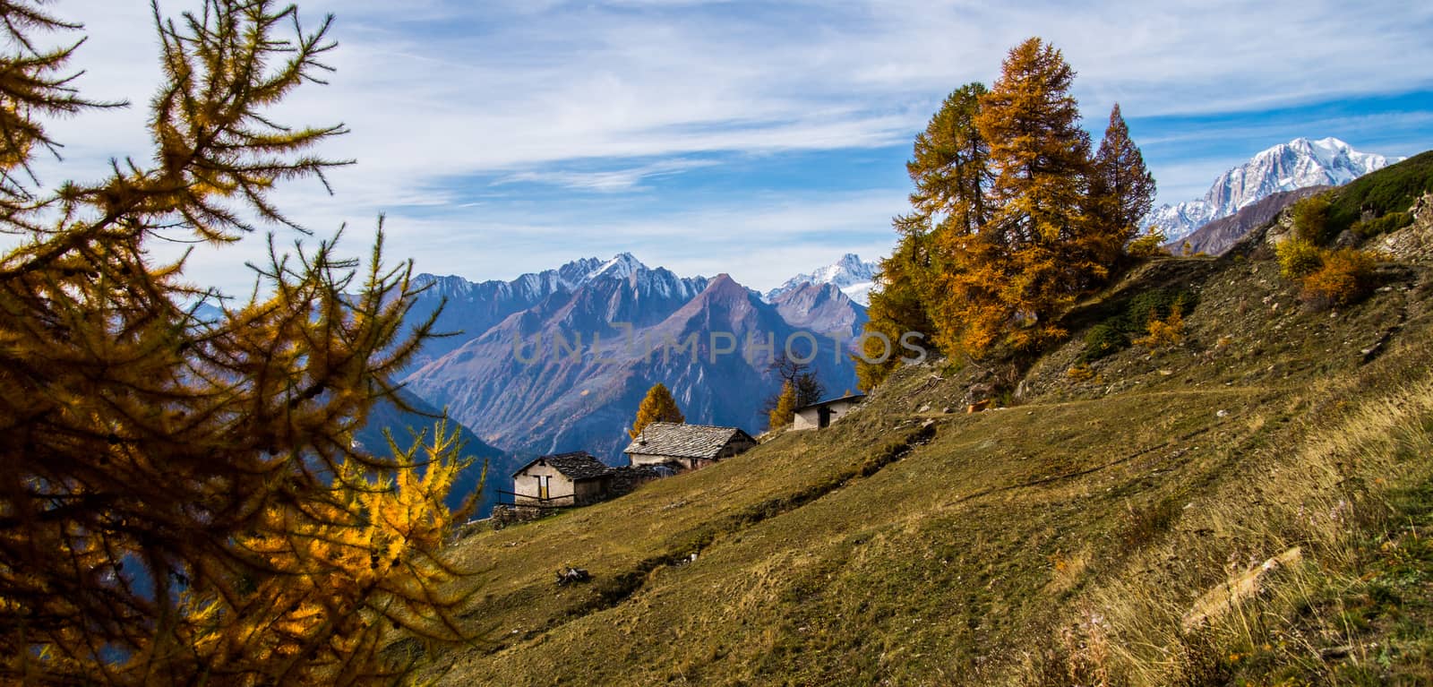 landscape of Italian Alps in autumn by bertrand