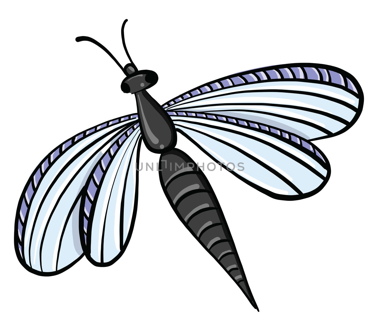 Dragonfly , illustration, vector on white background