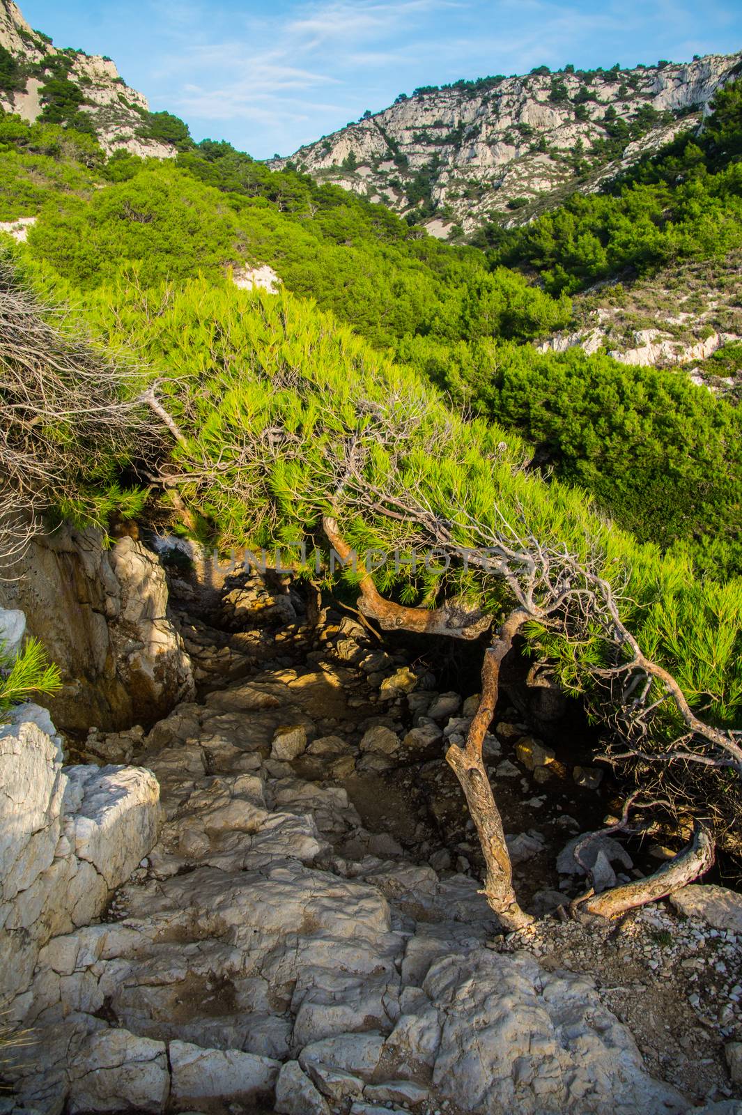 creeks national park in marseille by bertrand