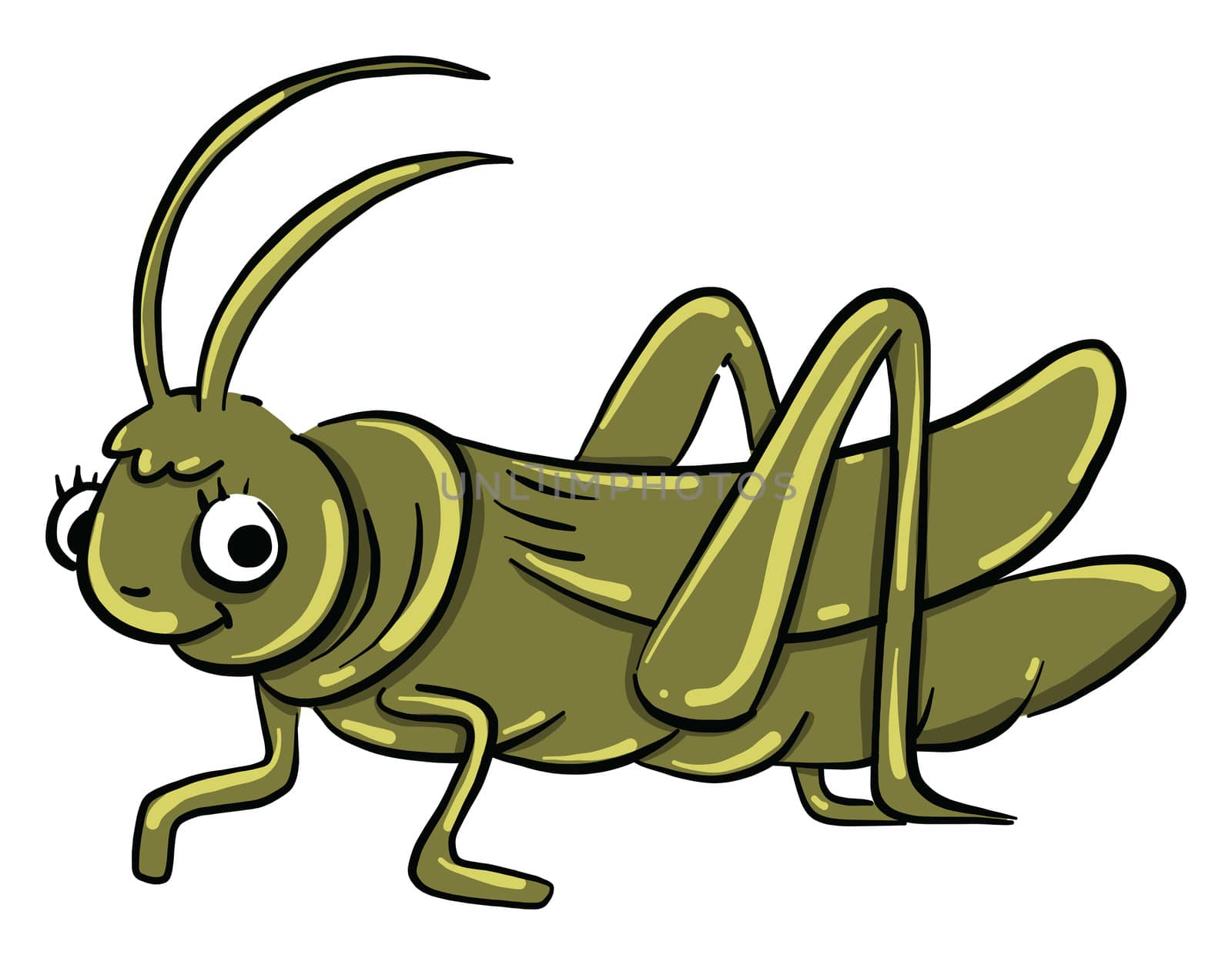 Green grasshopper , illustration, vector on white background