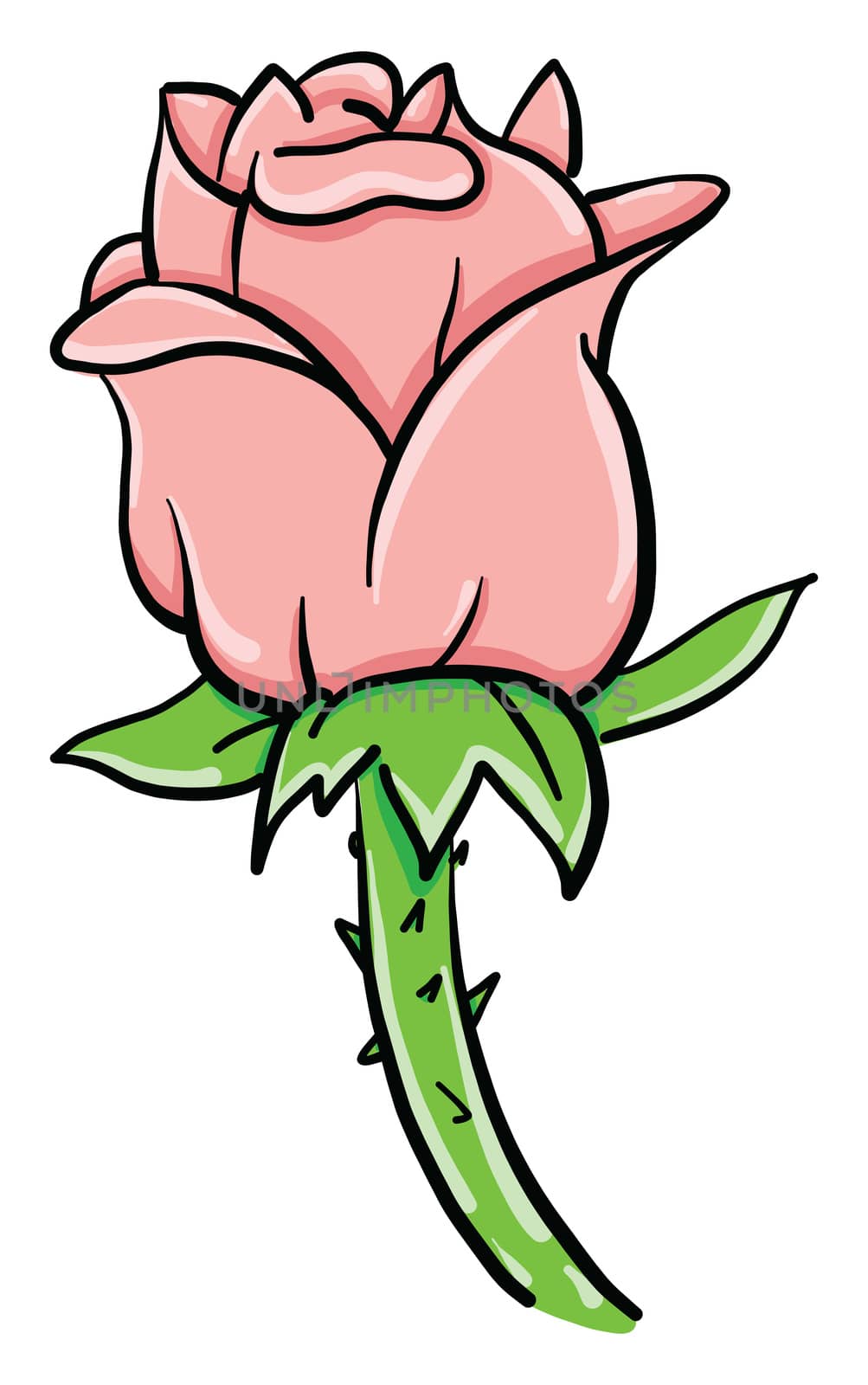 Pink rose , illustration, vector on white background