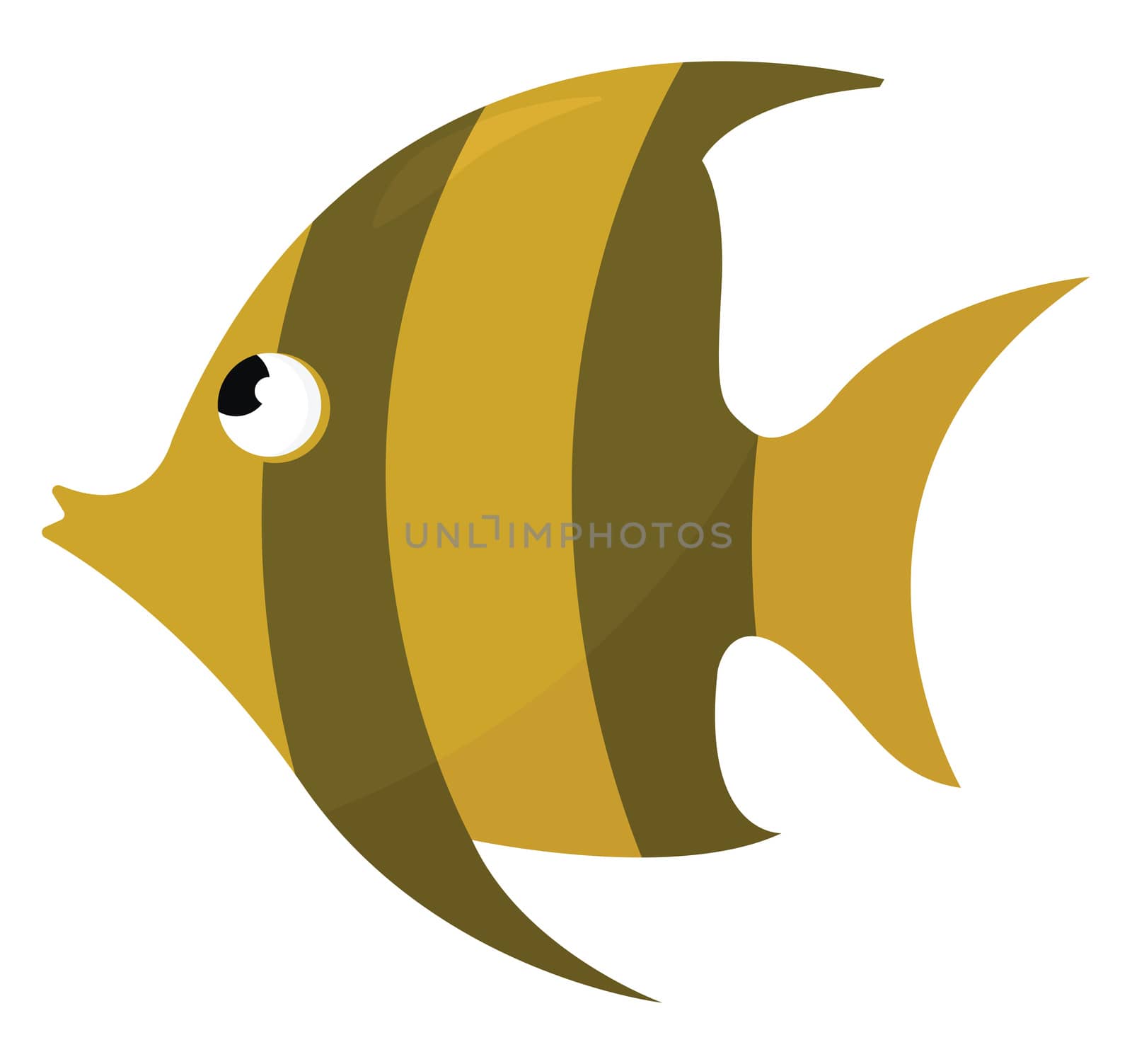 Golden fish , illustration, vector on white background by Morphart