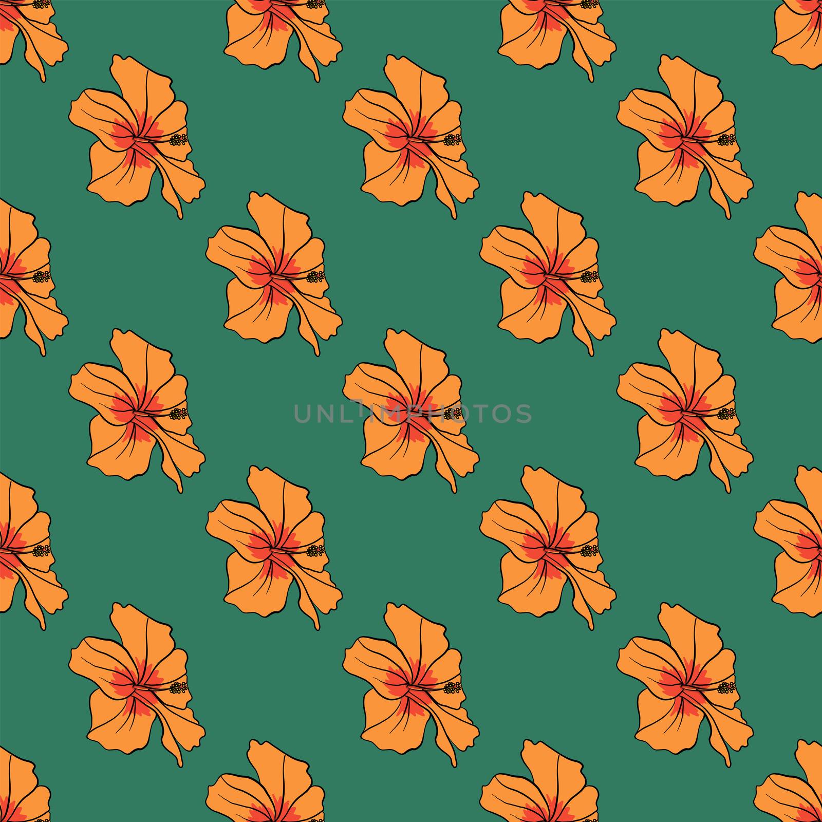 Hibiscus pattern , illustration, vector on white background by Morphart