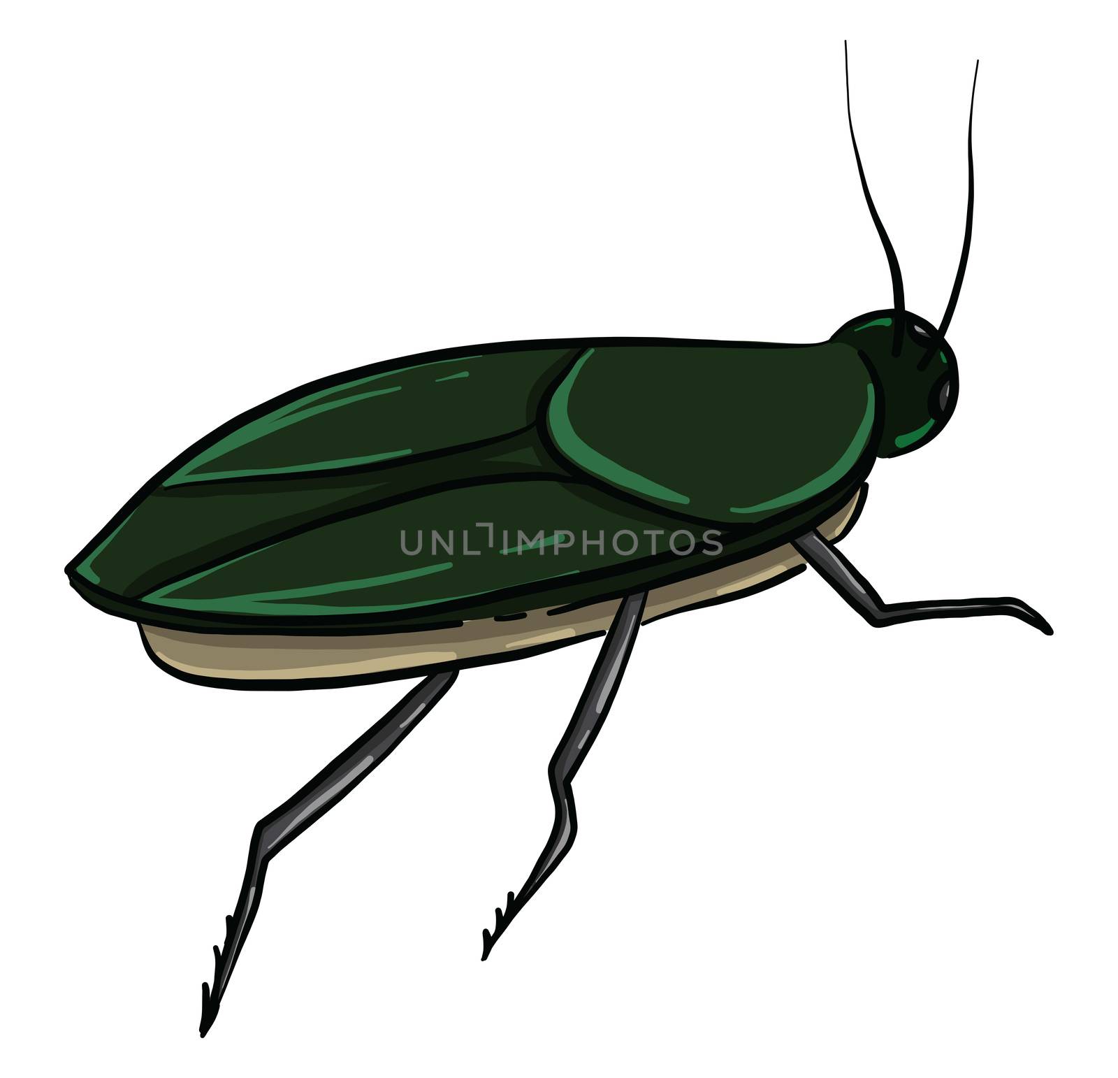 Green cockroach , illustration, vector on white background