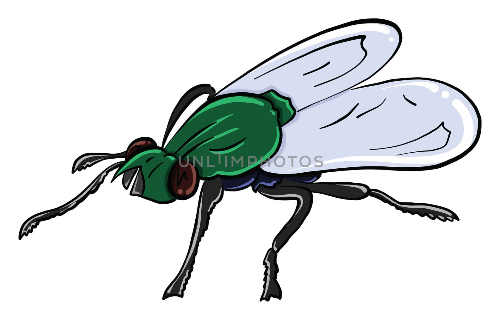 Green fly , illustration, vector on white background