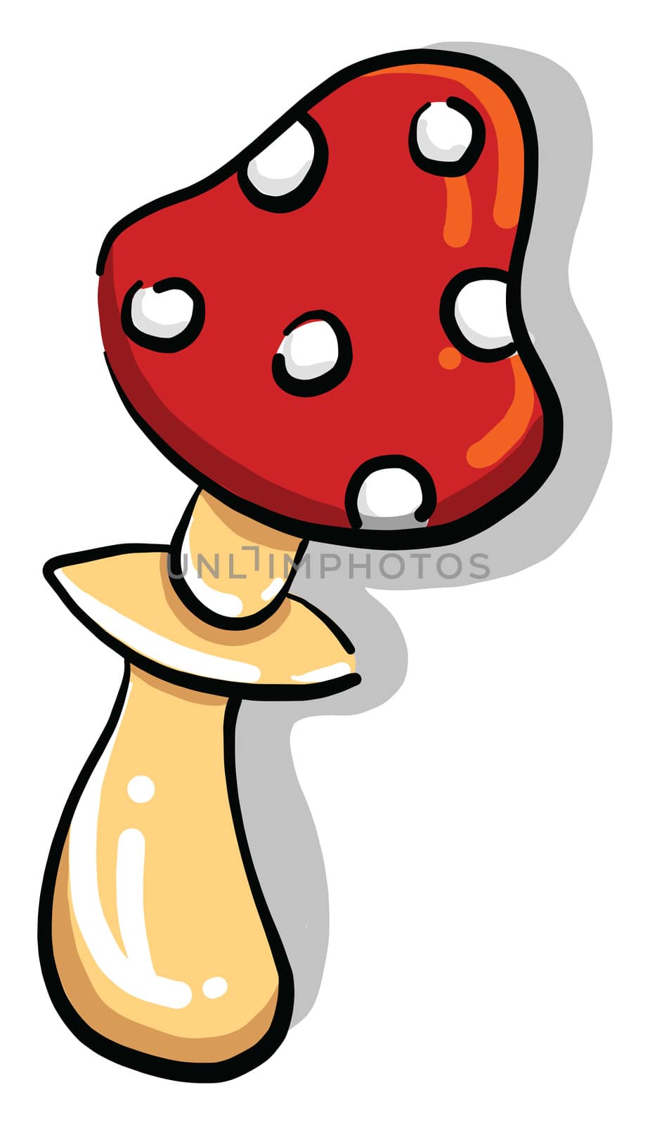 Forest mushroom , illustration, vector on white background