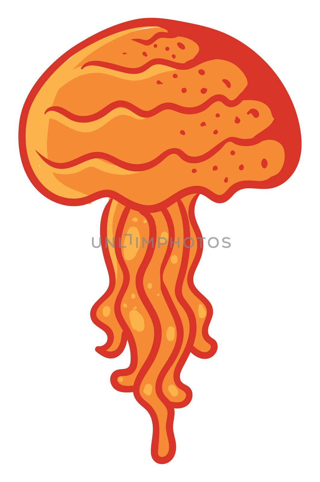 Orange jellyfish , illustration, vector on white background