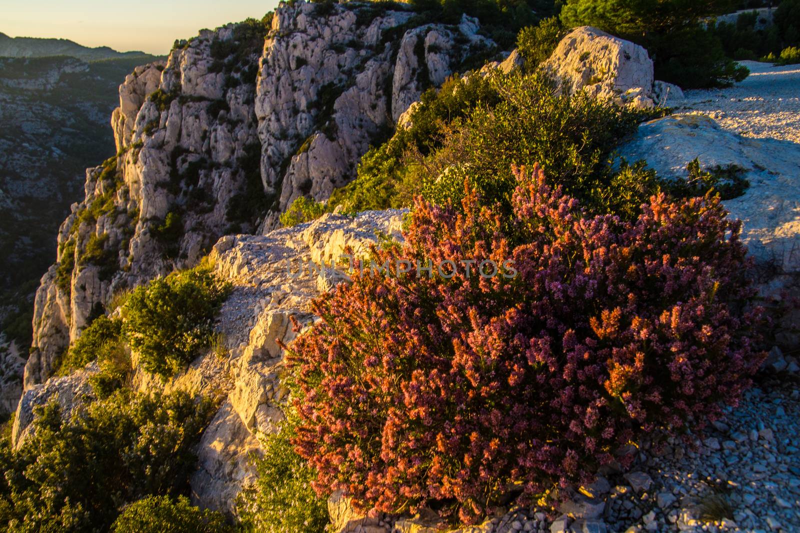 marseille,calanque,bouche du rhone, france