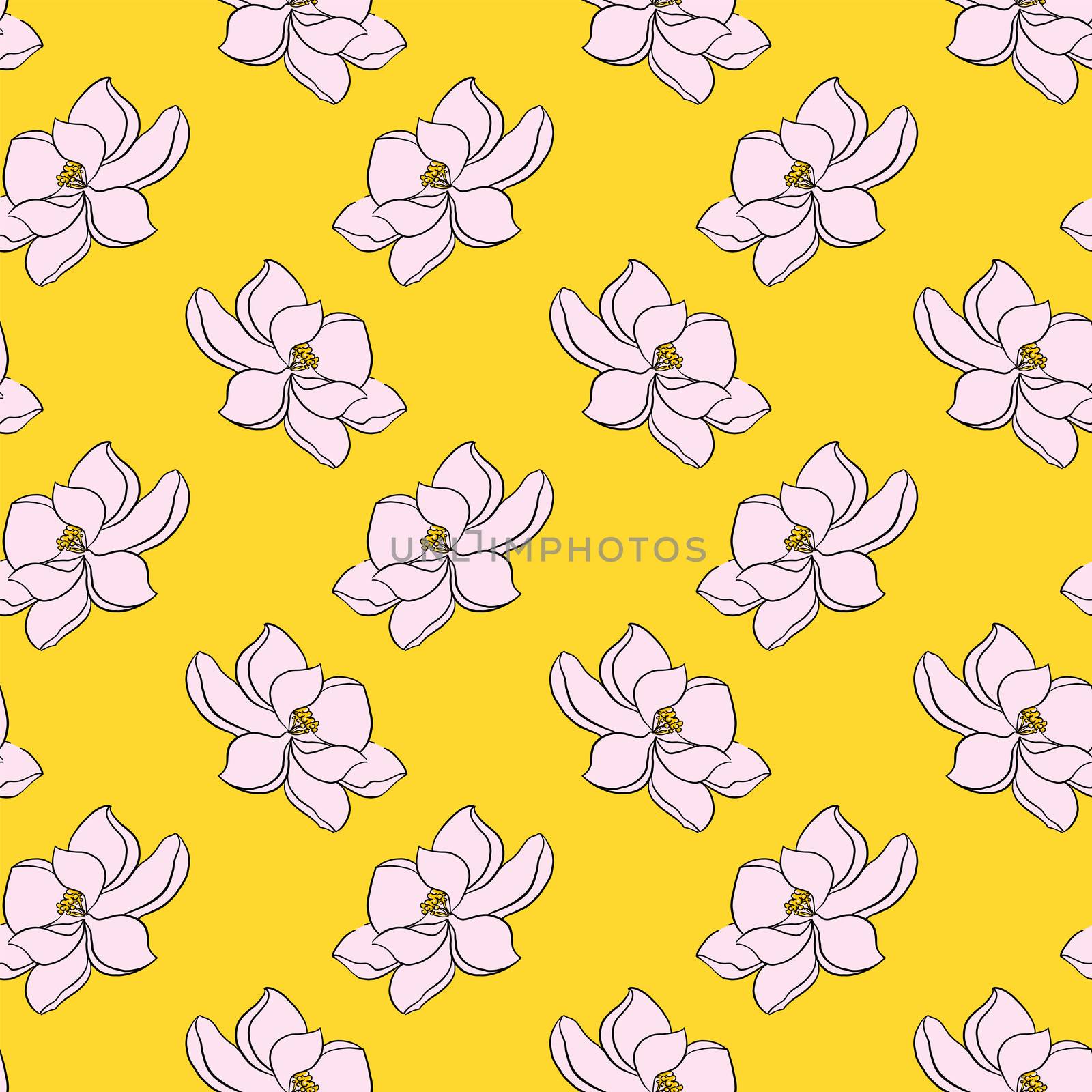 Magnolia flower pattern , illustration, vector on white backgrou by Morphart