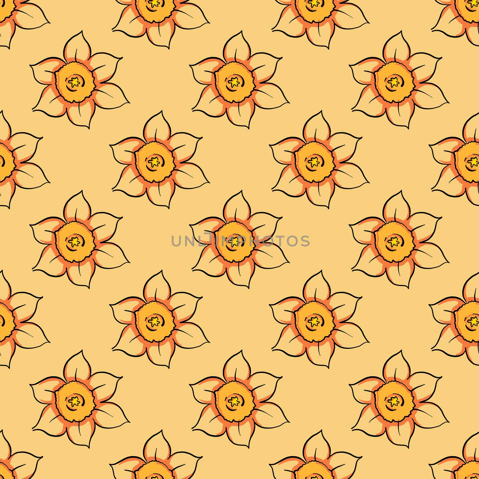 Lineart daffodil pattern , illustration, vector on white background