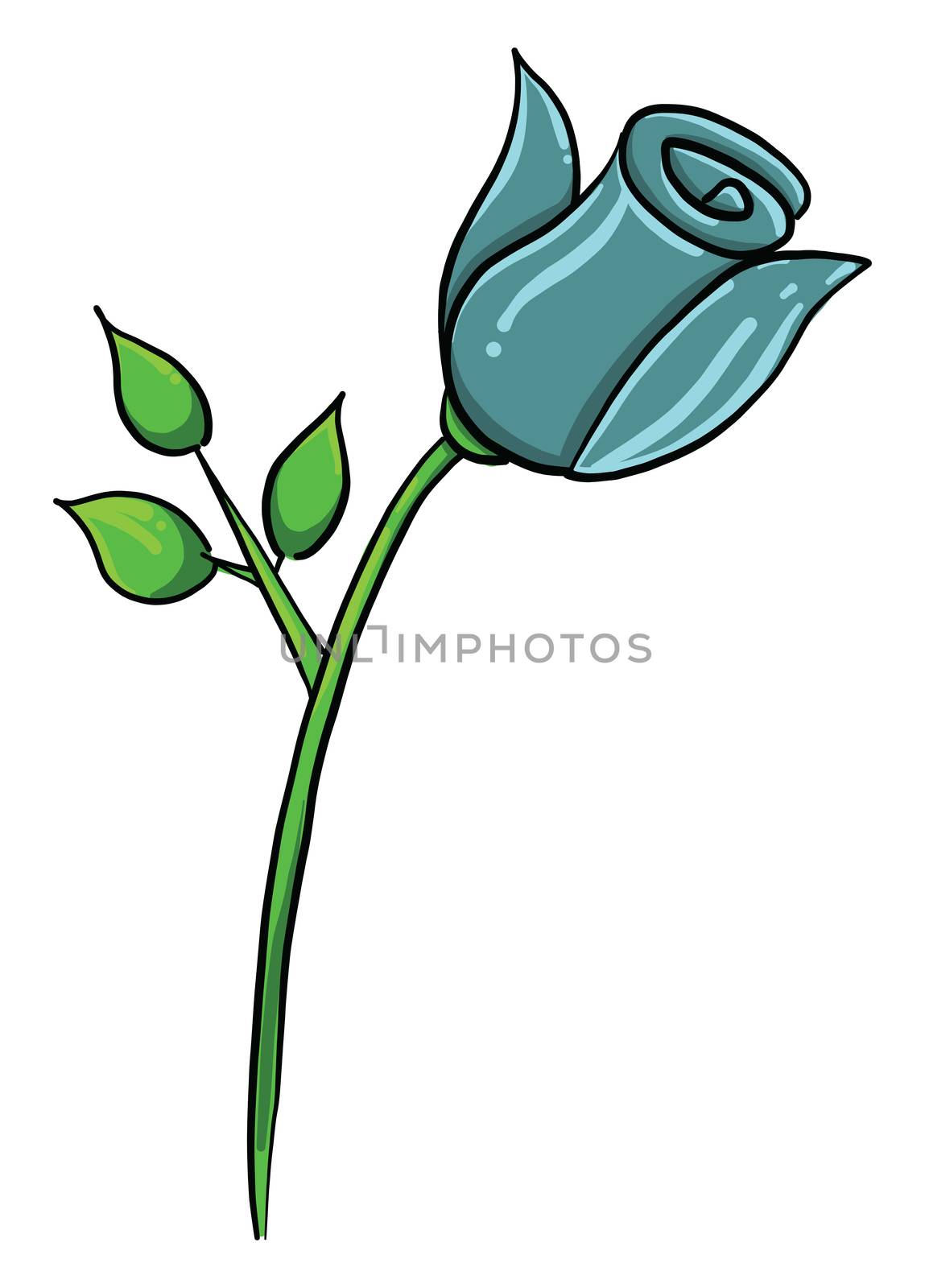 Blue rose , illustration, vector on white background by Morphart