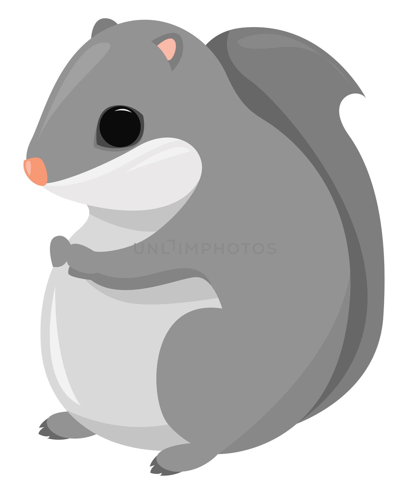 Japanese squirrel , illustration, vector on white background
