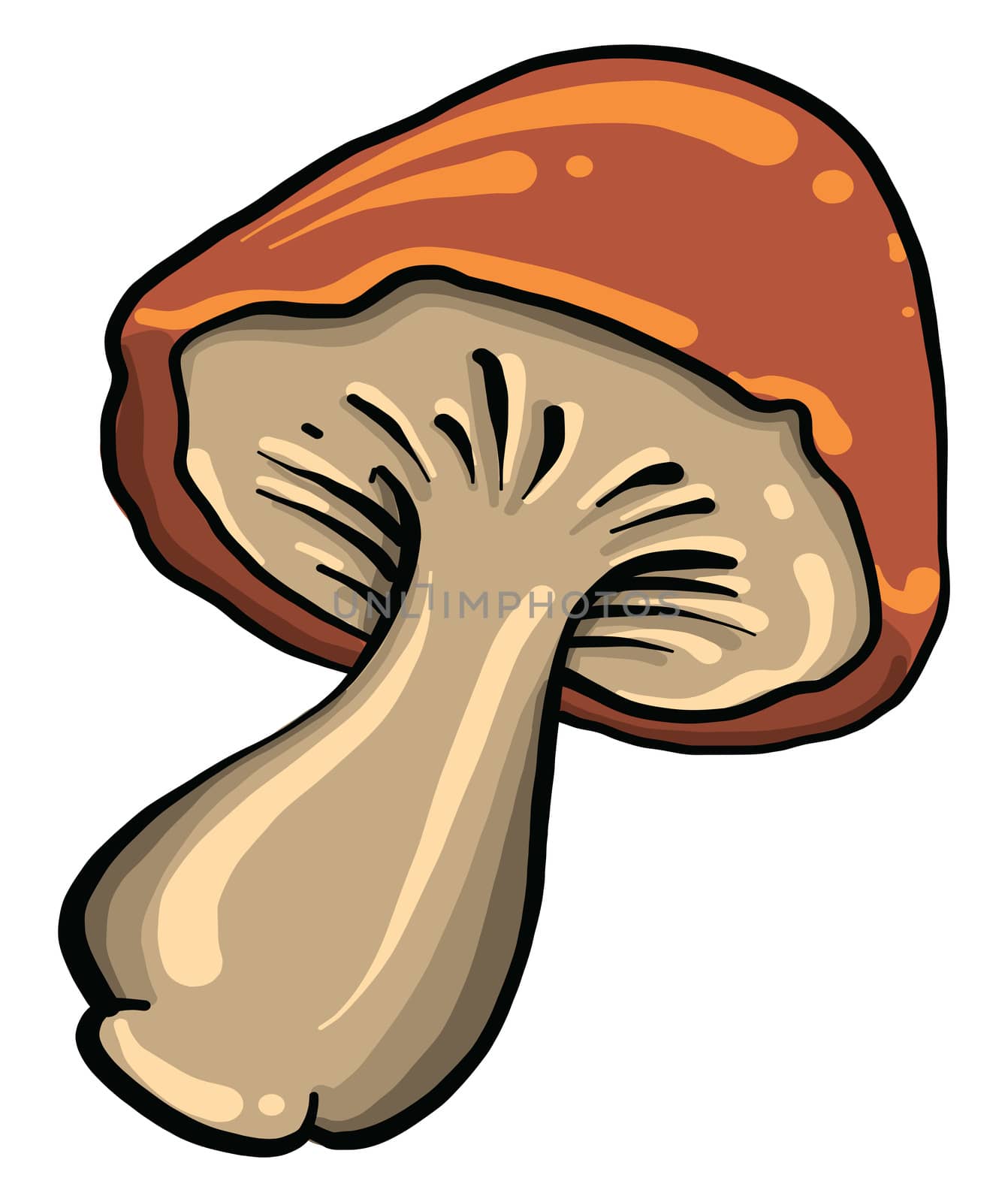 Brown mushroom , illustration, vector on white background by Morphart