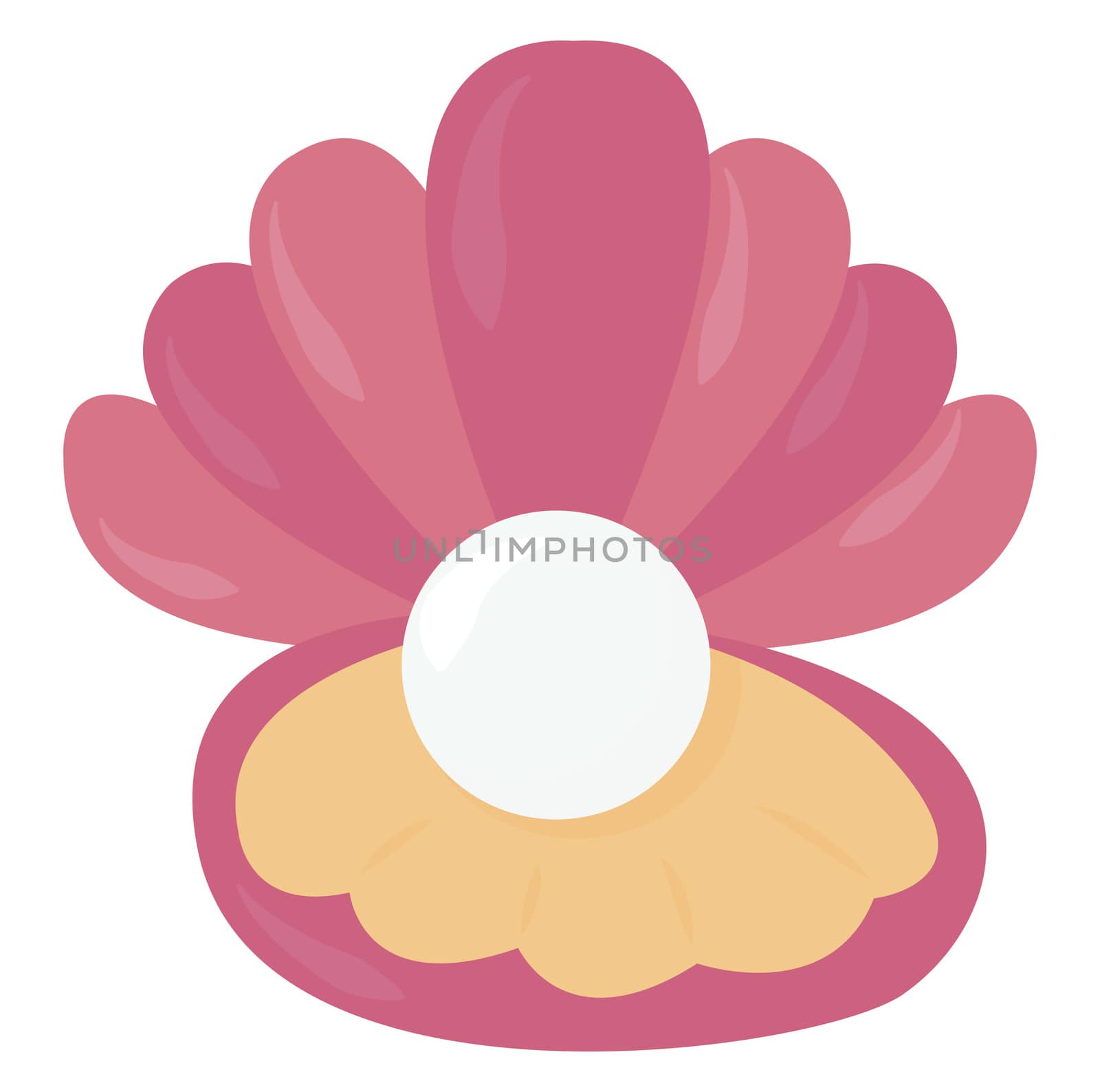 Oyster with pearl , illustration, vector on white background