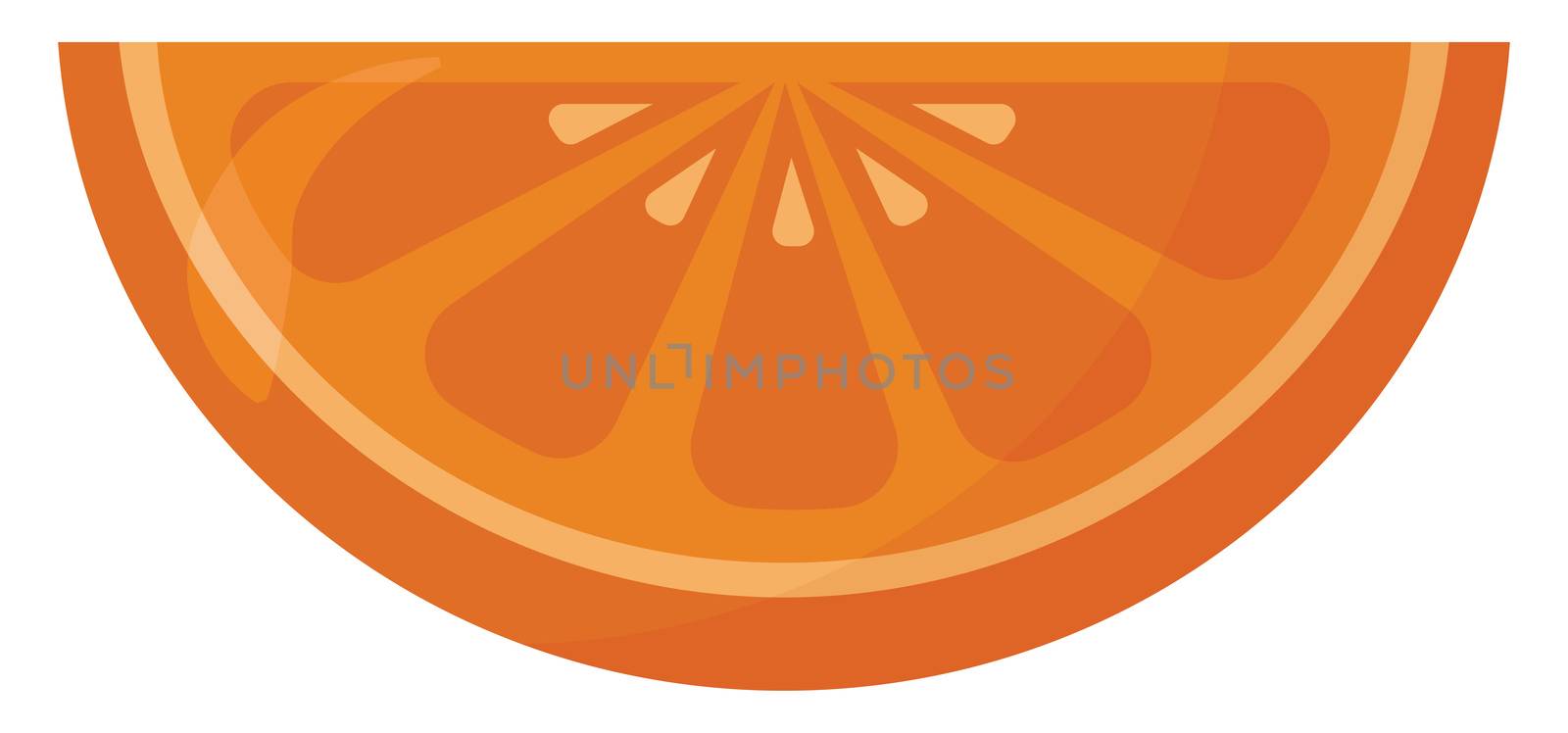 Slice of orange , illustration, vector on white background