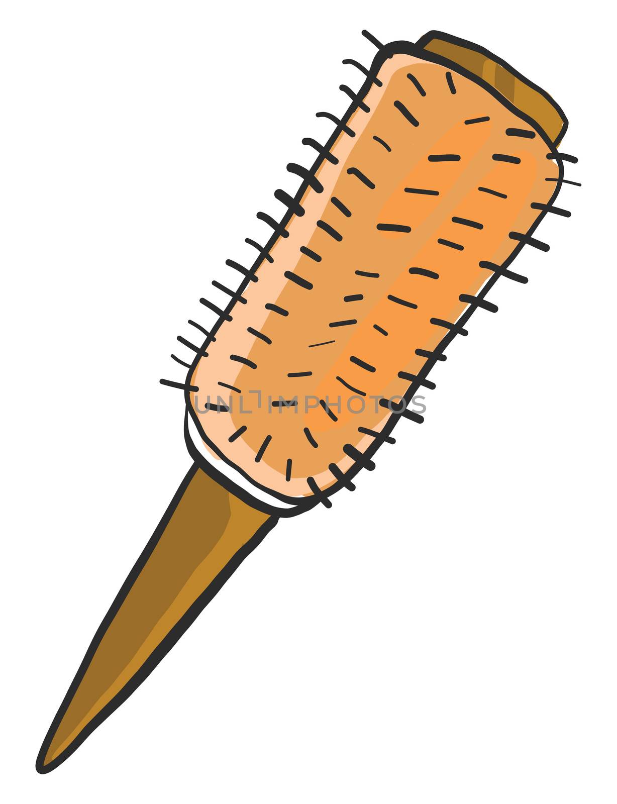 Orange brushhair , illustration, vector on white background by Morphart