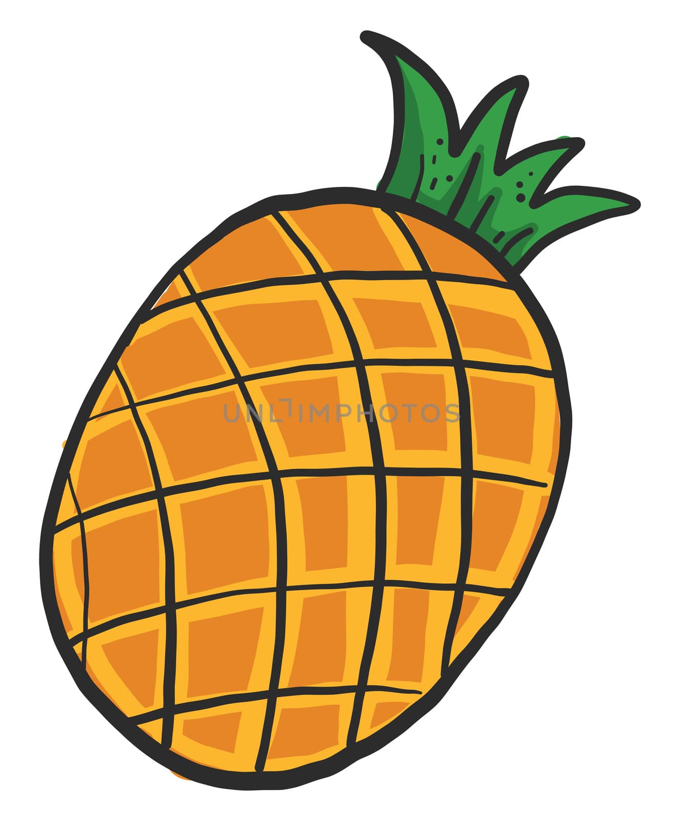 Fresh pineapple , illustration, vector on white background