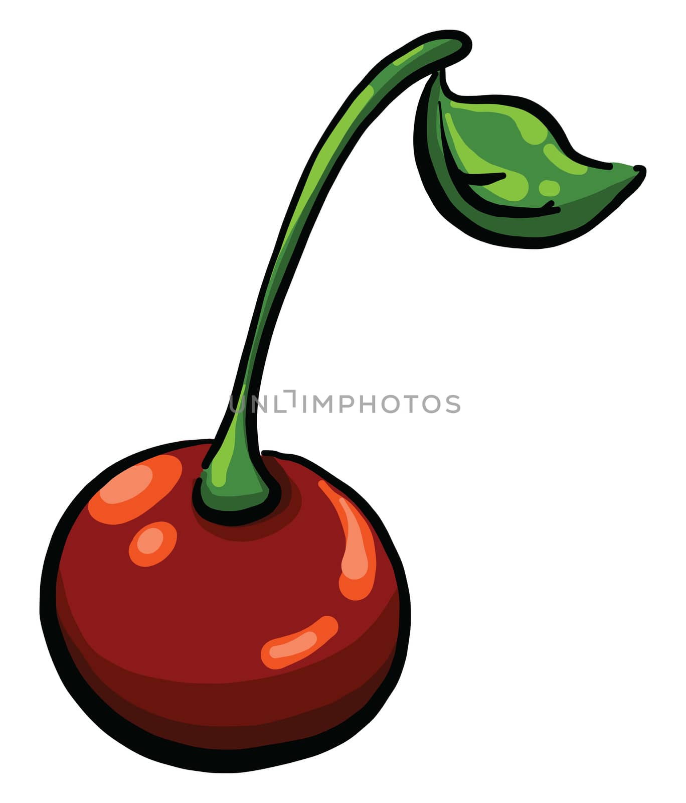 Red cherry , illustration, vector on white background by Morphart