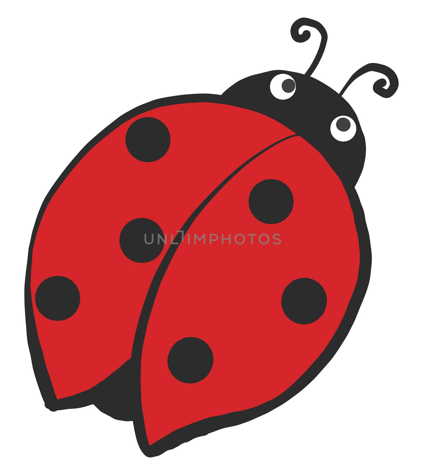Round ladybug , illustration, vector on white background by Morphart