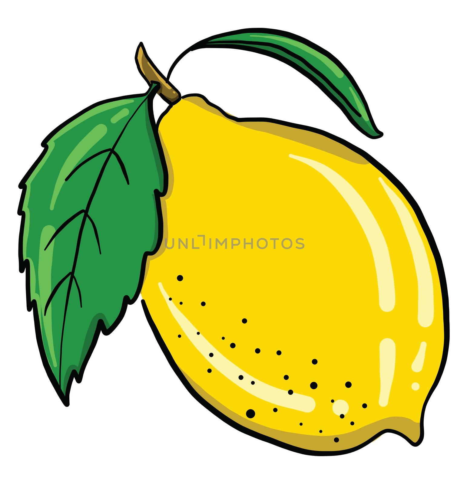 Yellow lemon , illustration, vector on white background by Morphart