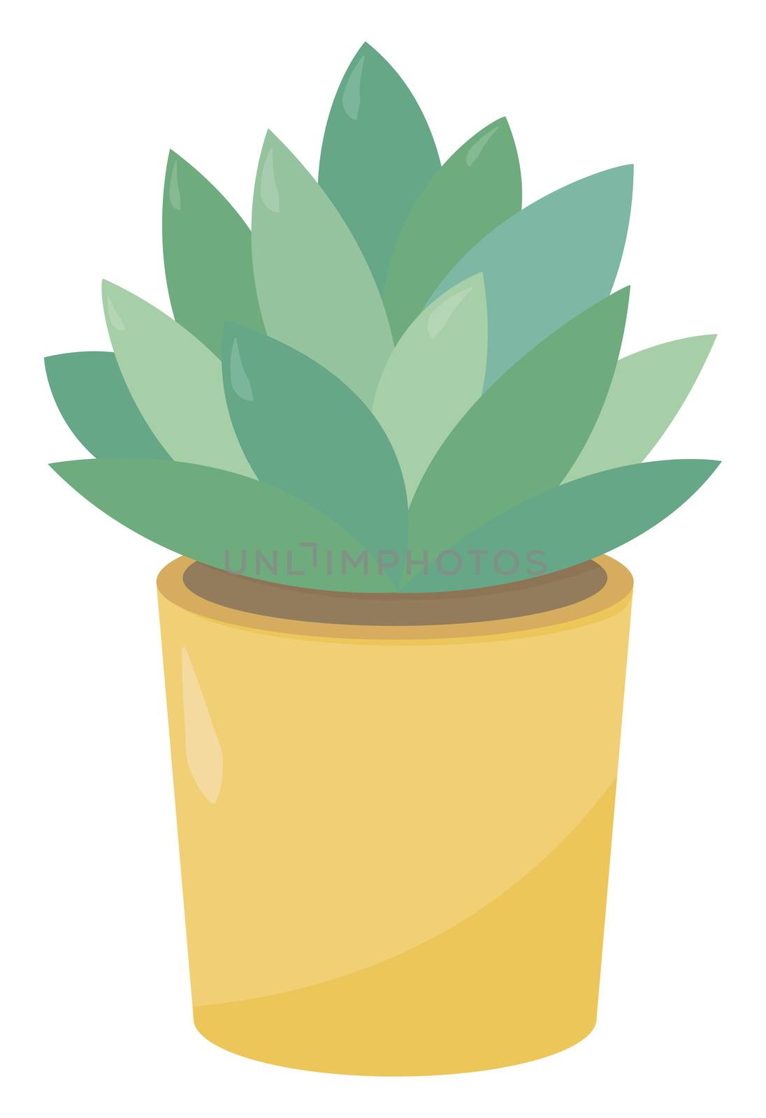 Plant in yellow pot , illustration, vector on white background by Morphart