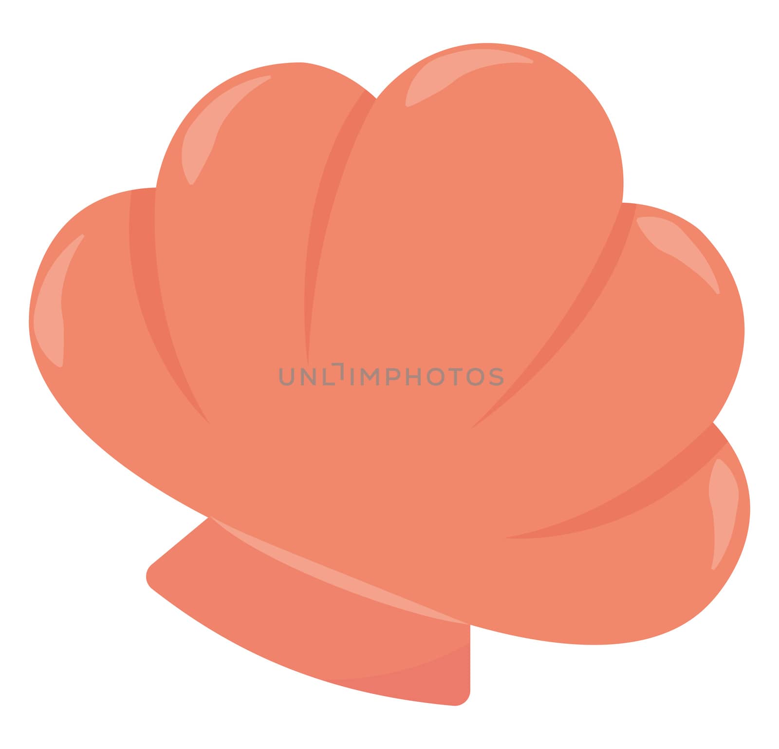 Pink sea shell , illustration, vector on white background