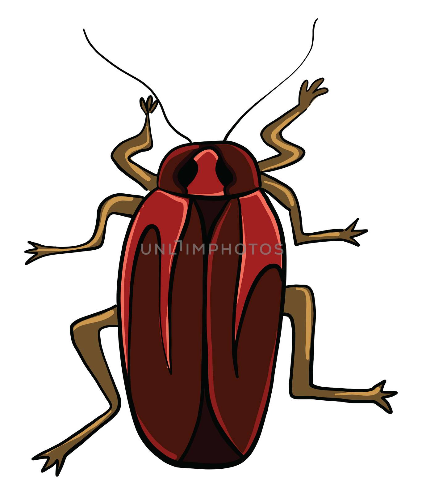Red cockroach , illustration, vector on white background