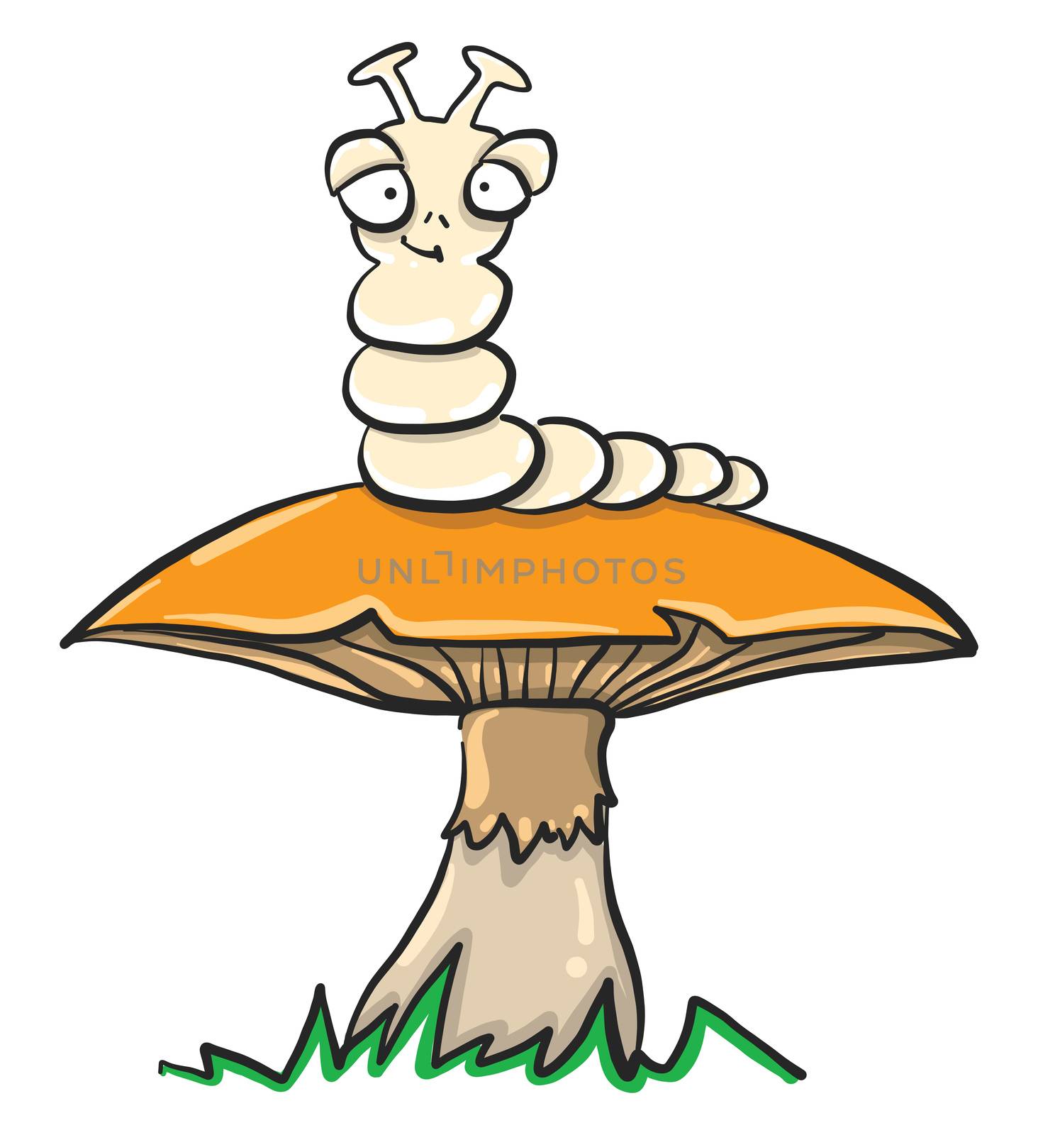 Caterpillar mushroom , illustration, vector on white background by Morphart