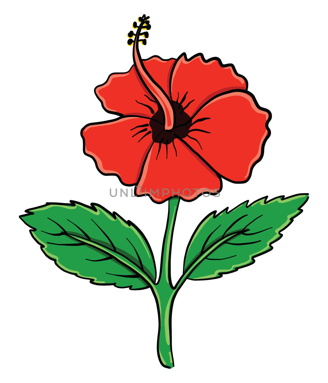 Red flower , illustration, vector on white background by Morphart