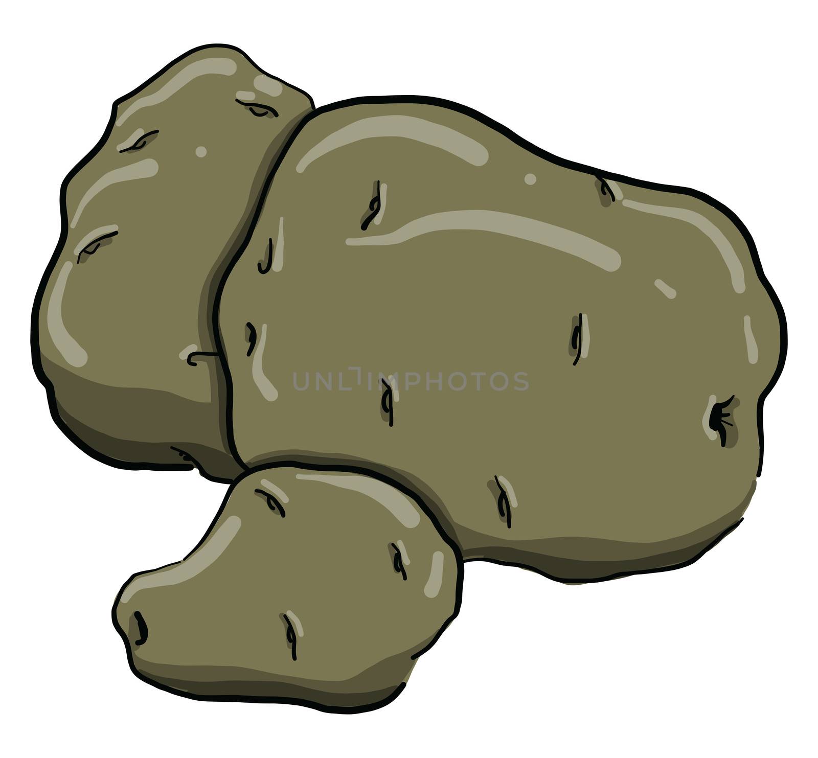 Potatoes , illustration, vector on white background