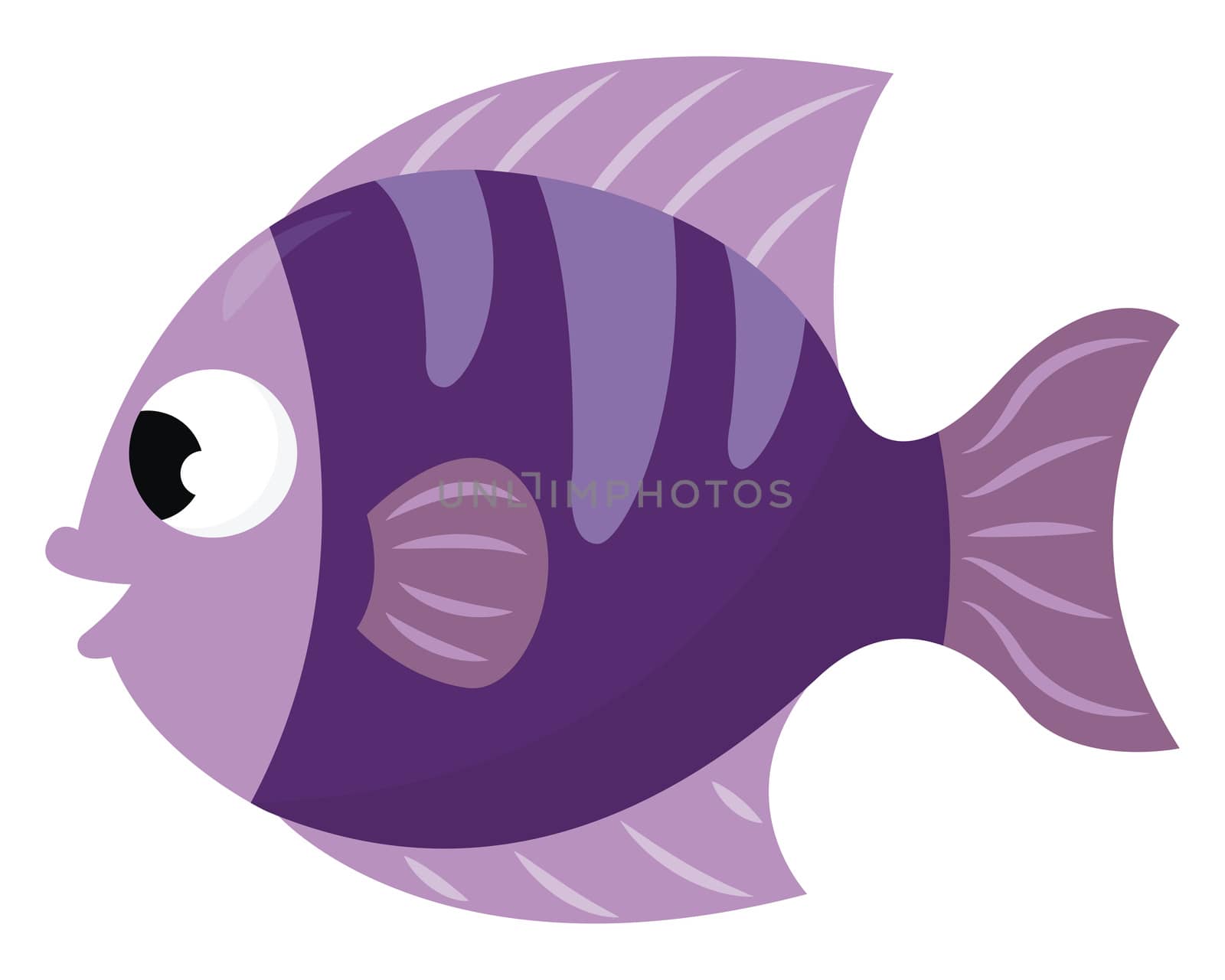 Purple fish , illustration, vector on white background by Morphart