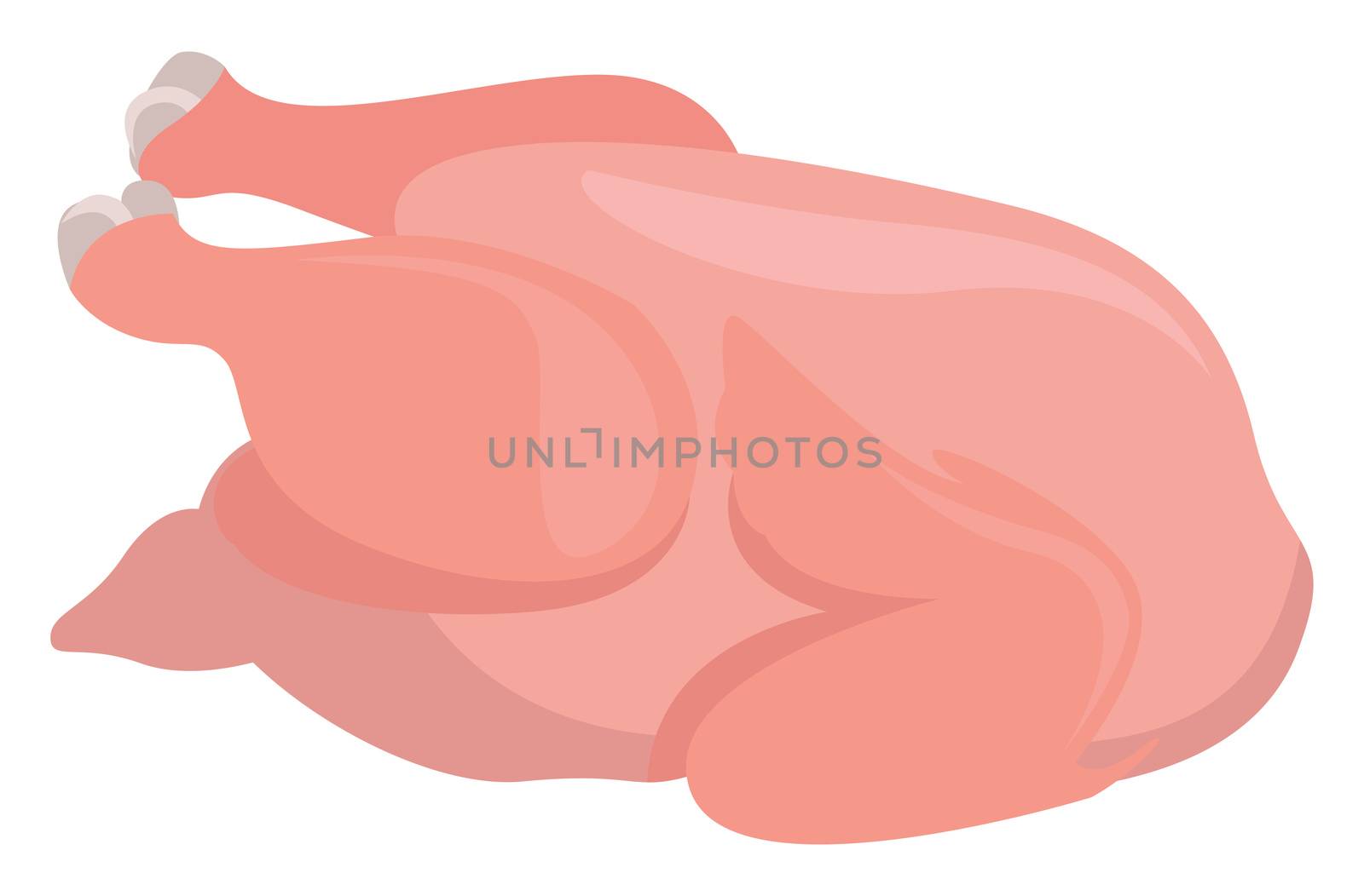Raw chicken , illustration, vector on white background by Morphart