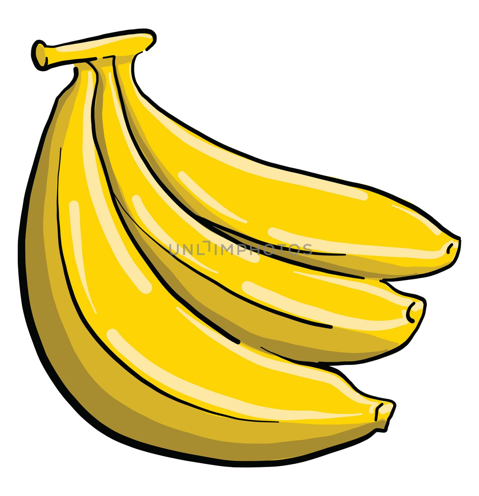 Pack of bananas , illustration, vector on white background