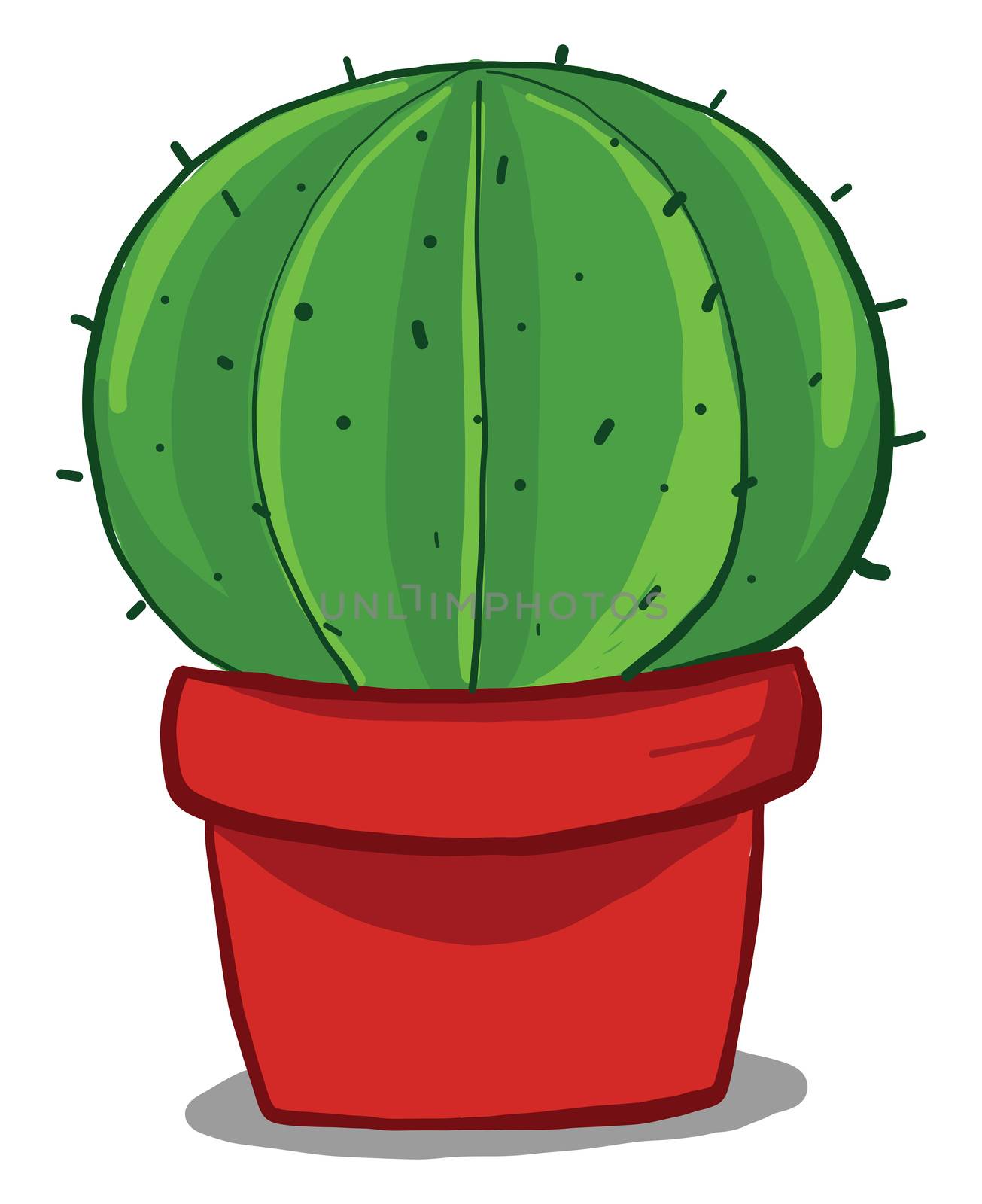 Round cactus in pot , illustration, vector on white background