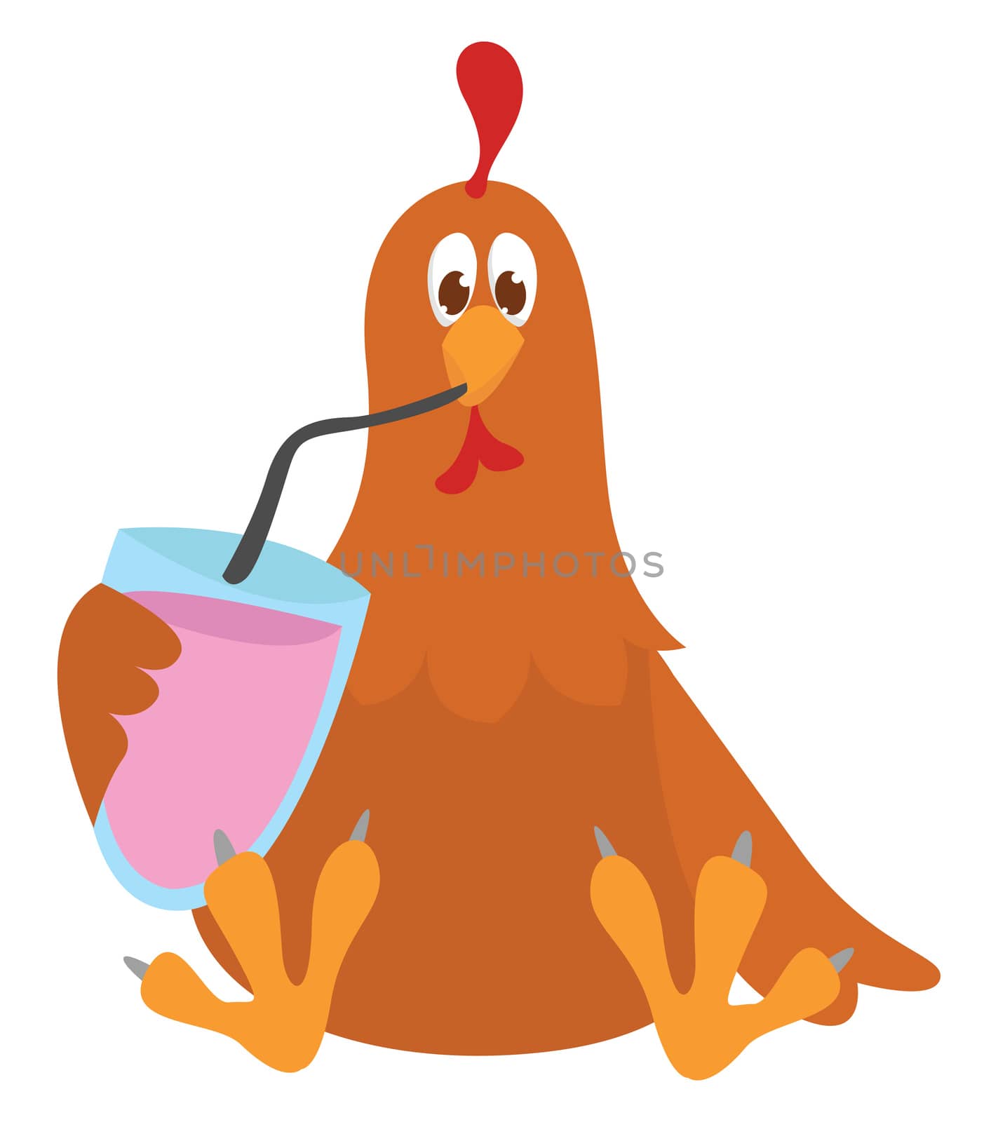 Hen drinking , illustration, vector on white background