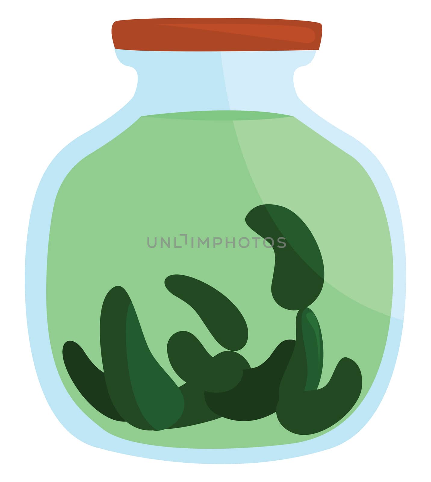 Pickles in jar , illustration, vector on white background