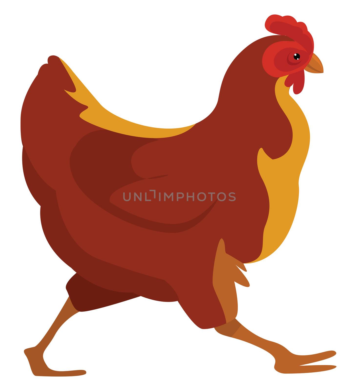 Running chicken , illustration, vector on white background